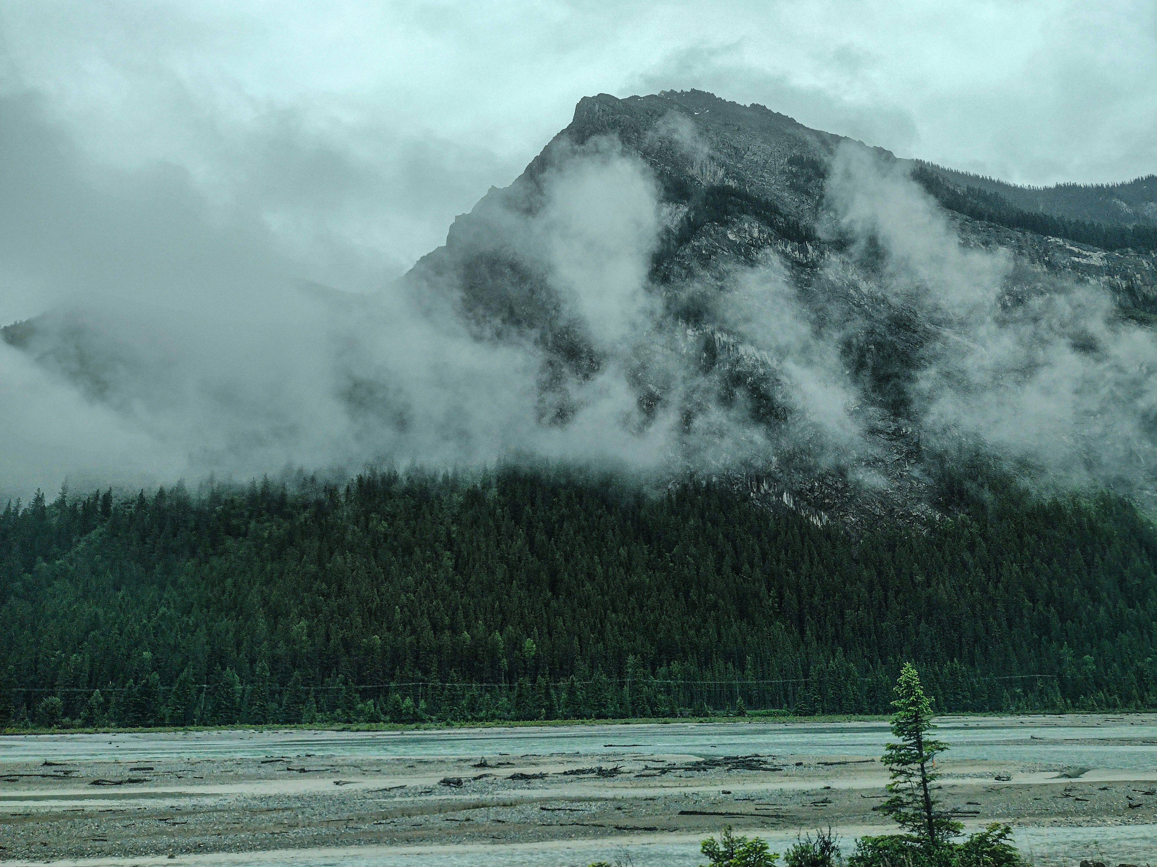 Photo by prphotography262