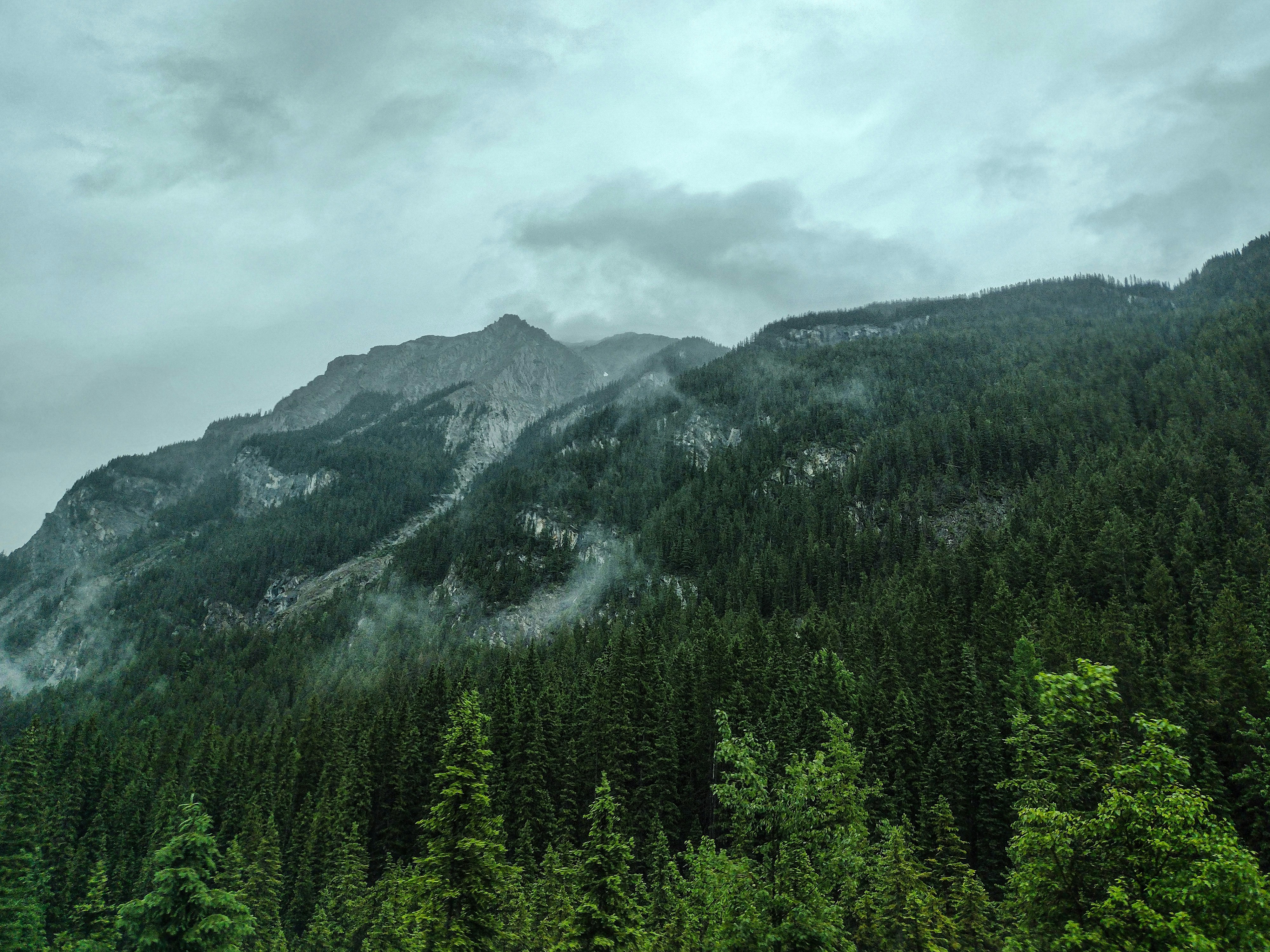 Photo by prphotography262