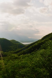 A lush green hillside with a lake in the distance