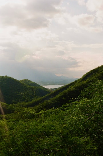 A lush green hillside with a lake in the distance