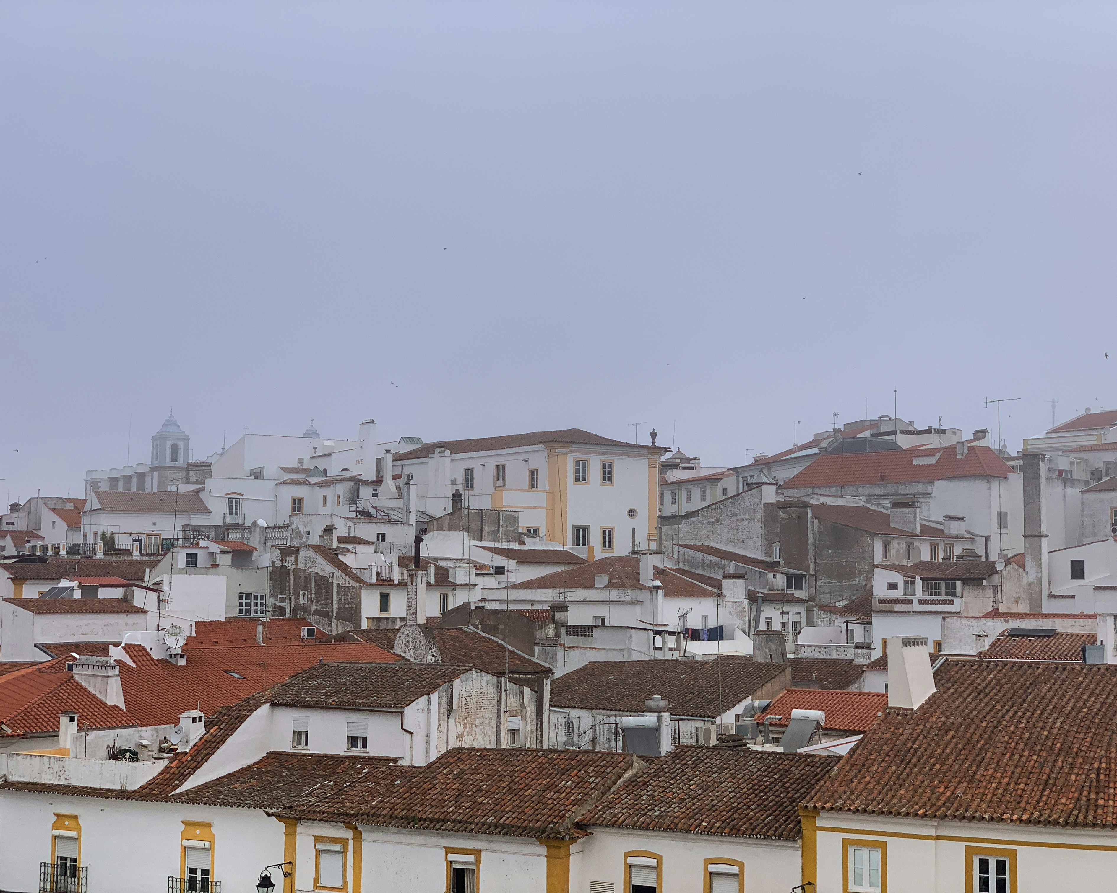 A view of a city with lots of buildings, Foggy city skyline