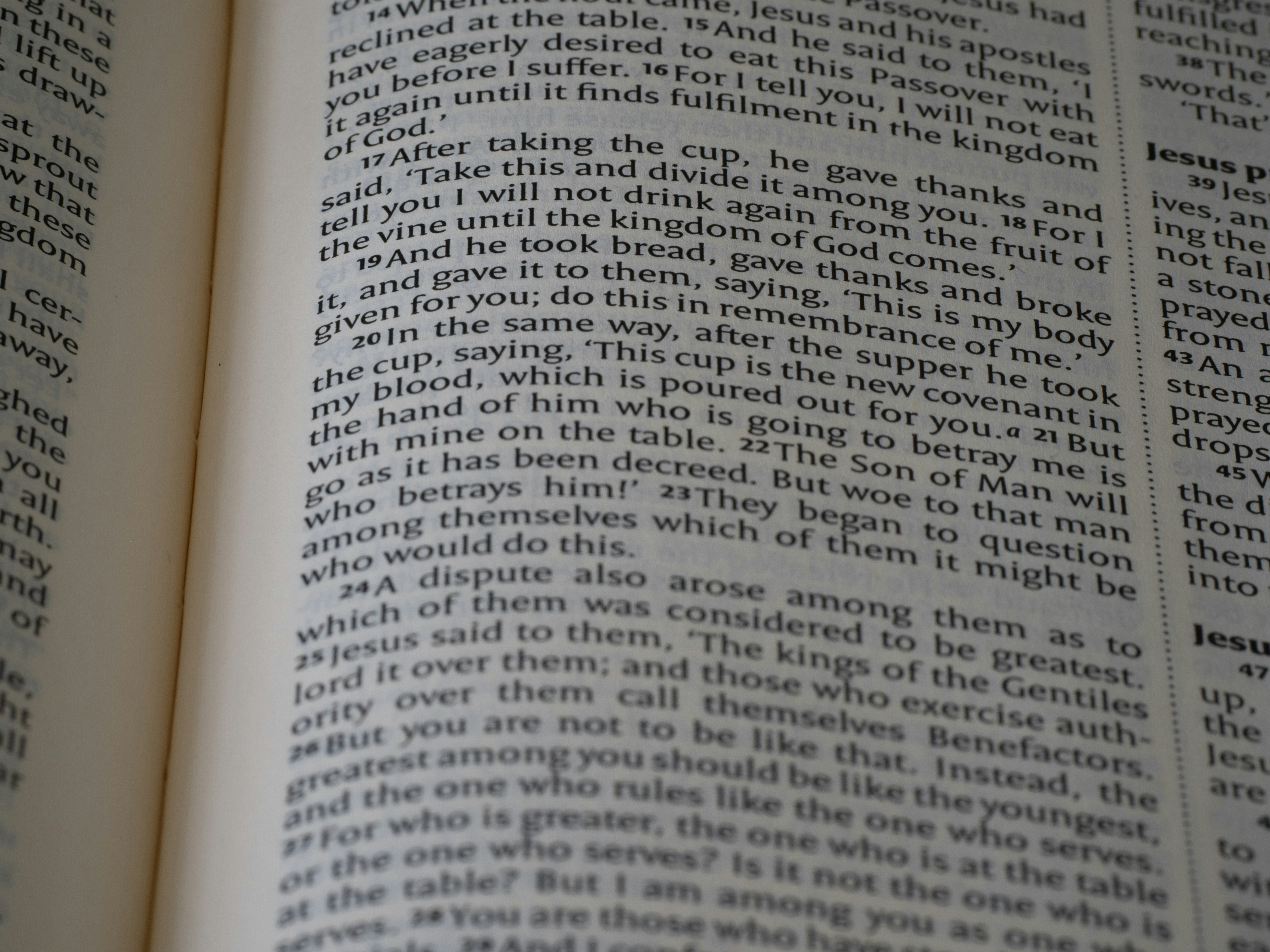 Photo by brett_jordan