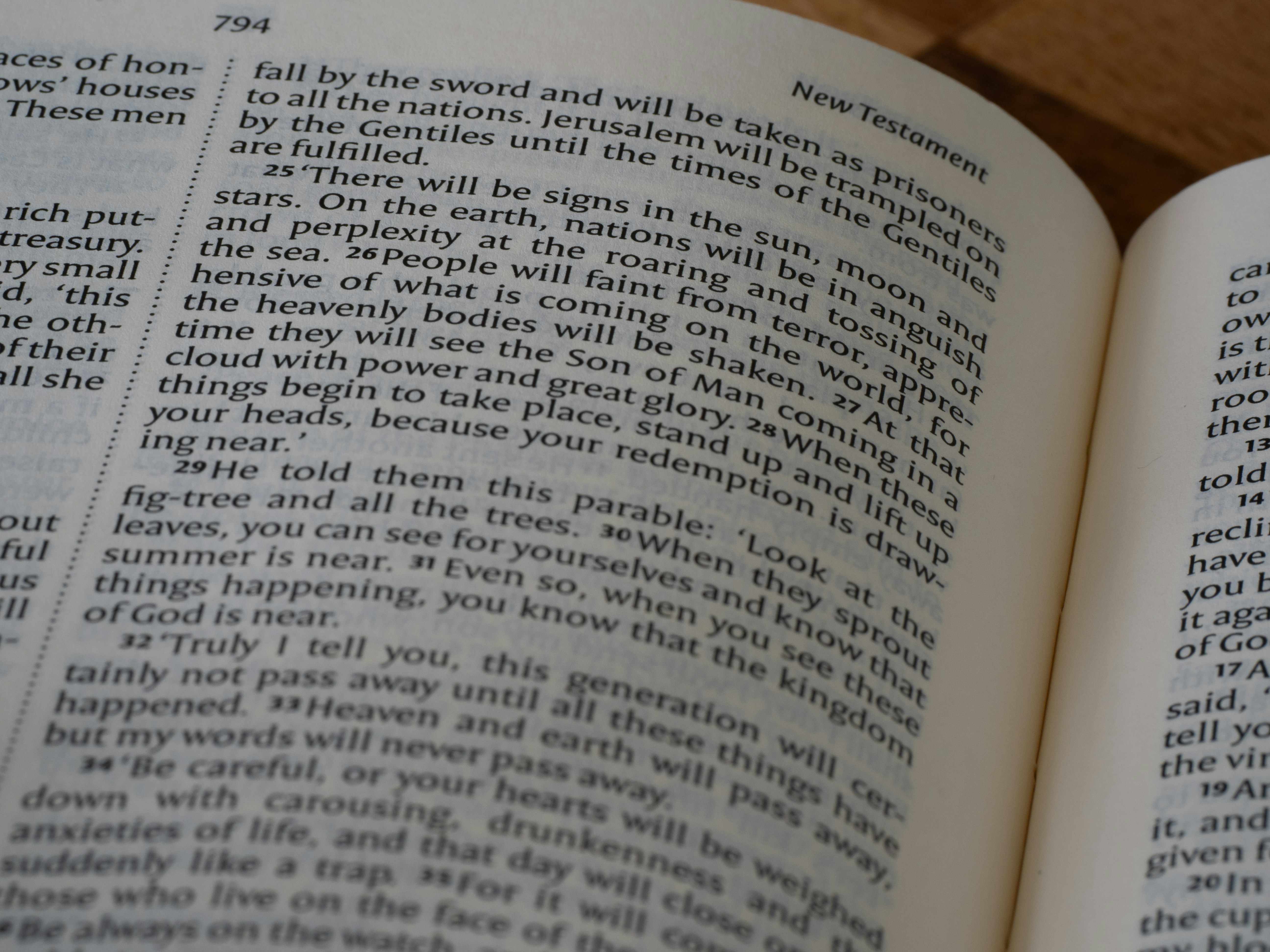 Photo by brett_jordan