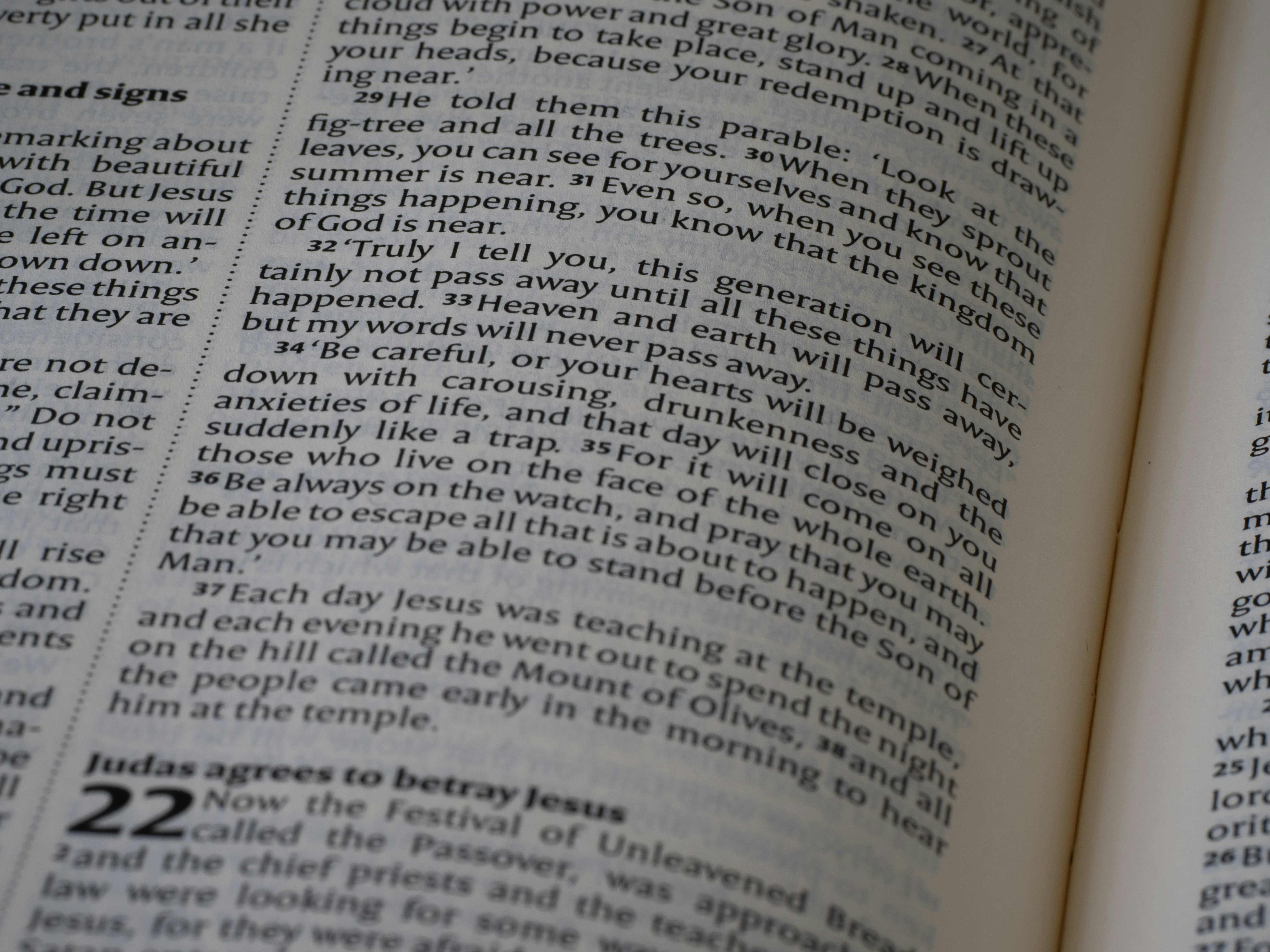 Photo by brett_jordan