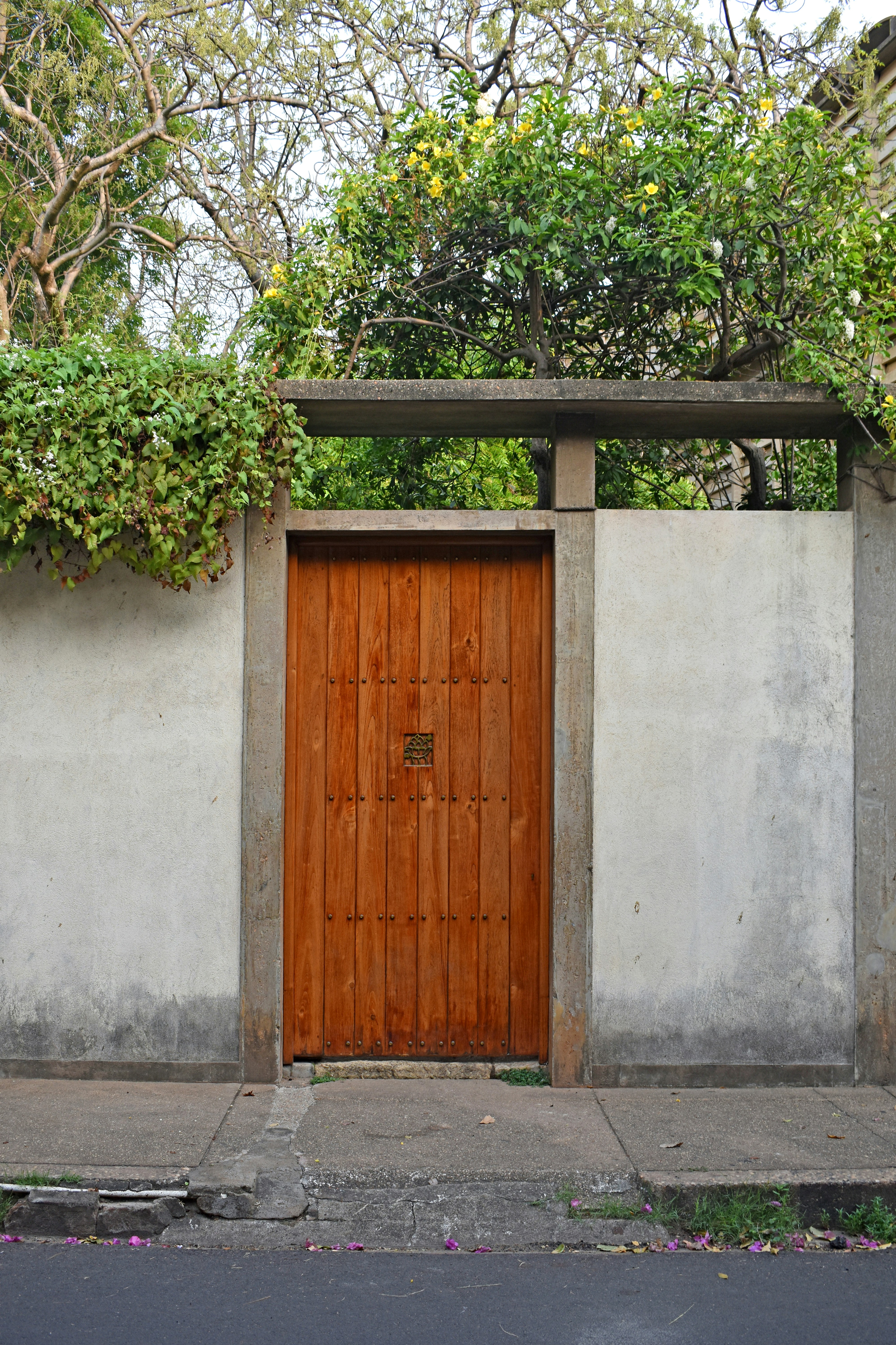 Photo by bridgeofnoon