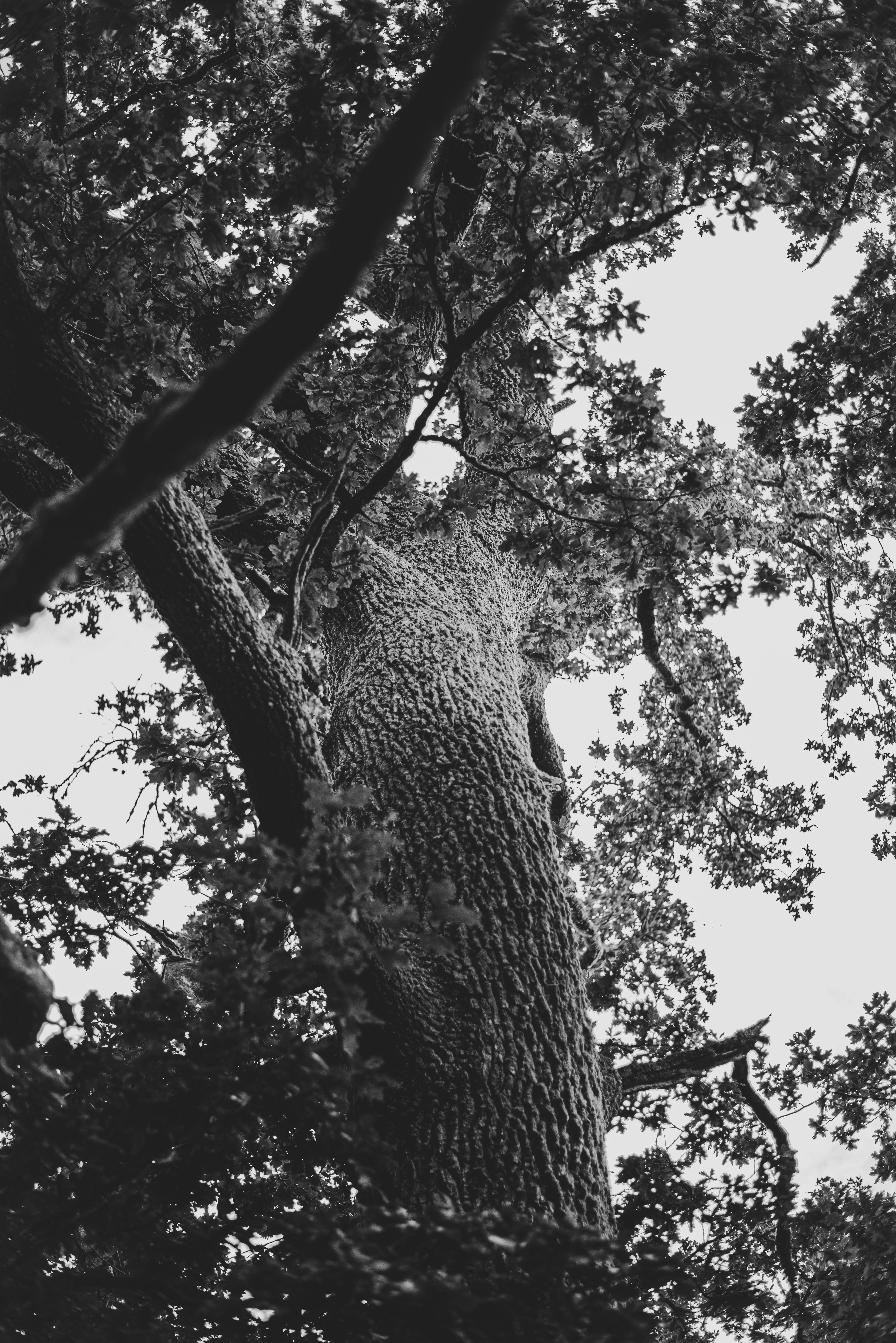 Photo by jcosens