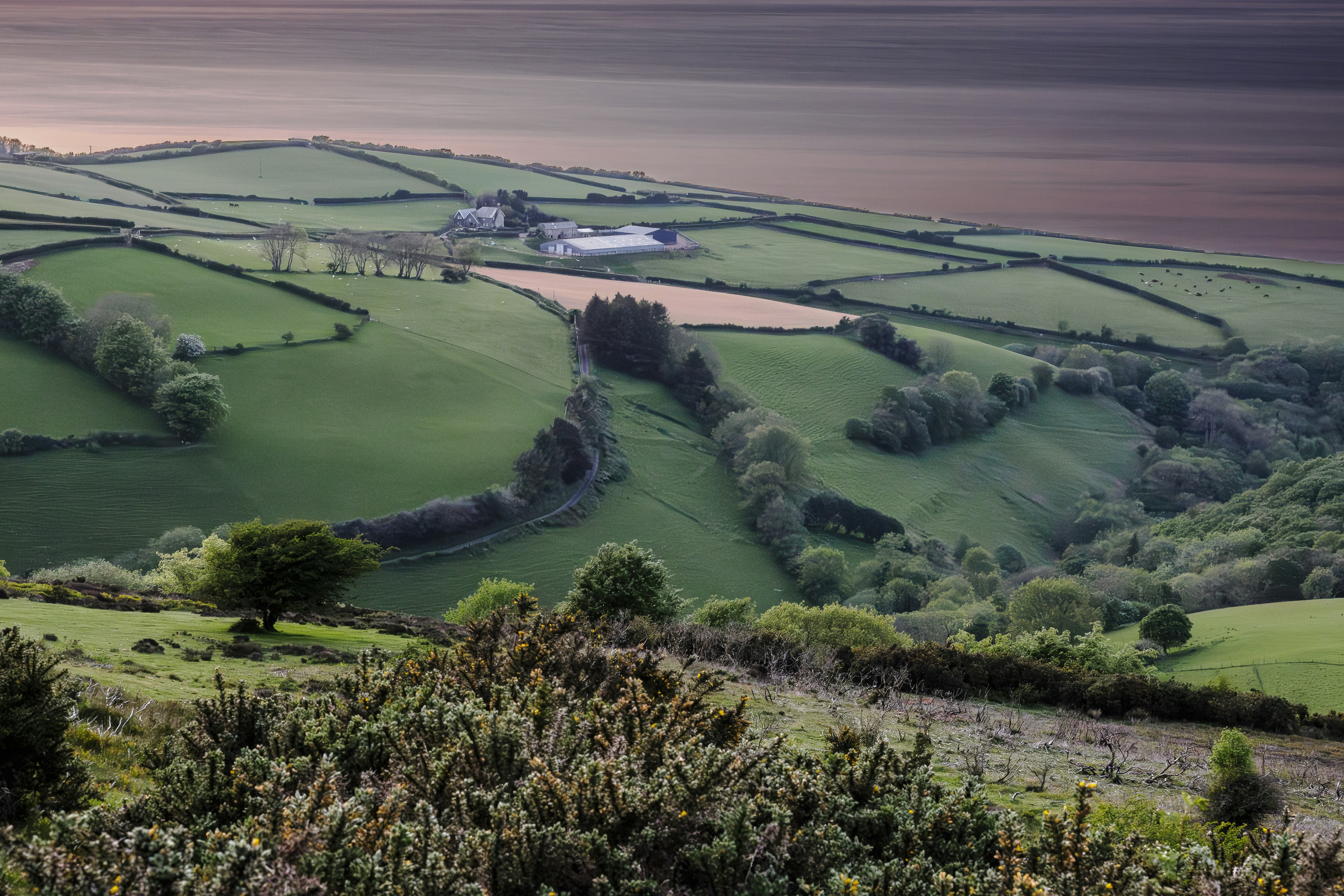 Haverhill Bank