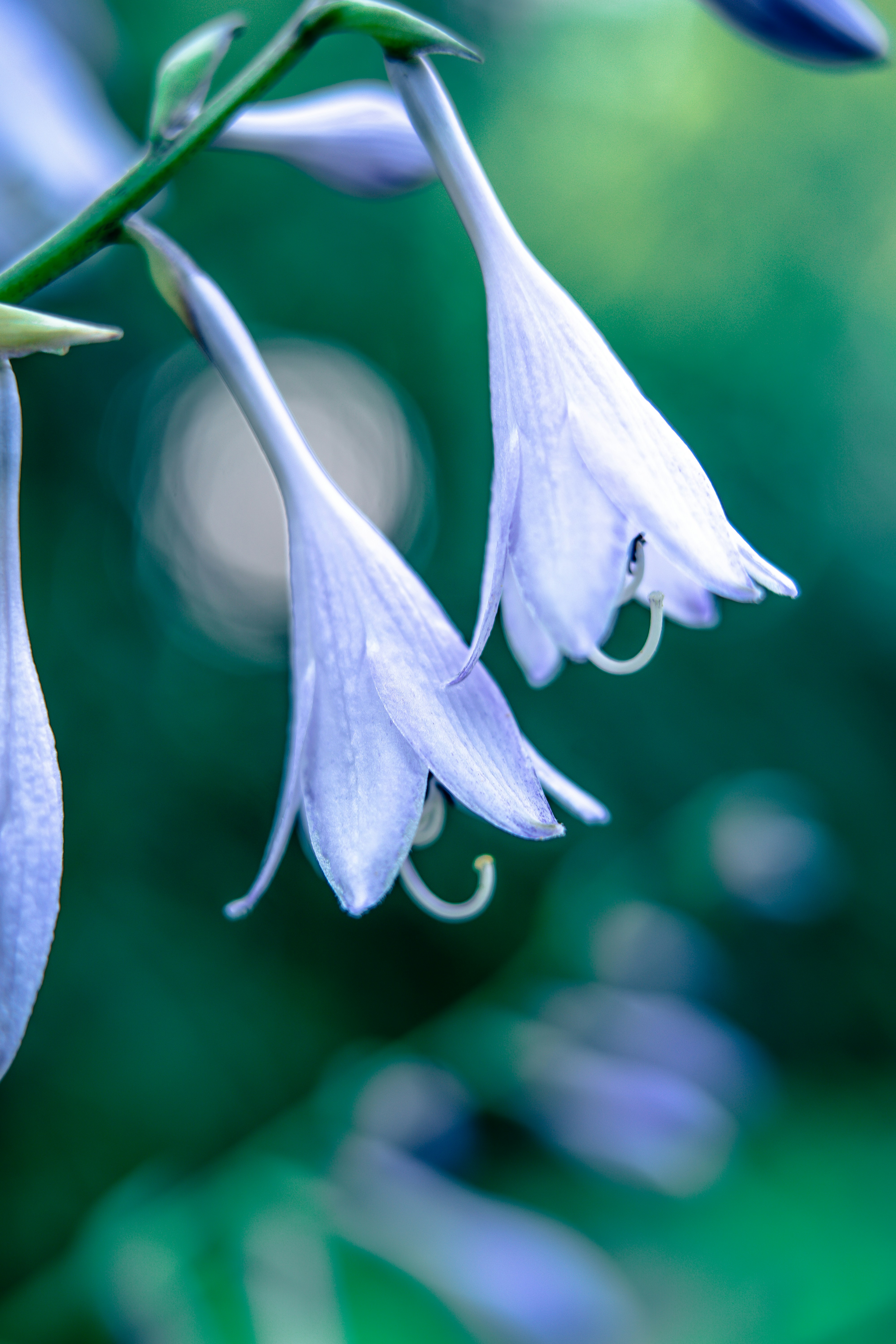 Photo by anamnesis33