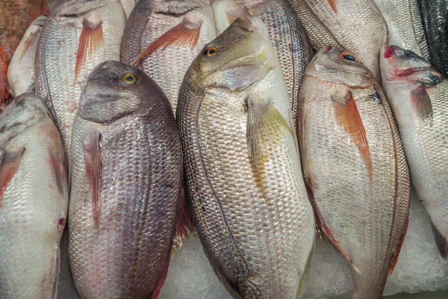 Fresh New Zealand seafood on ice