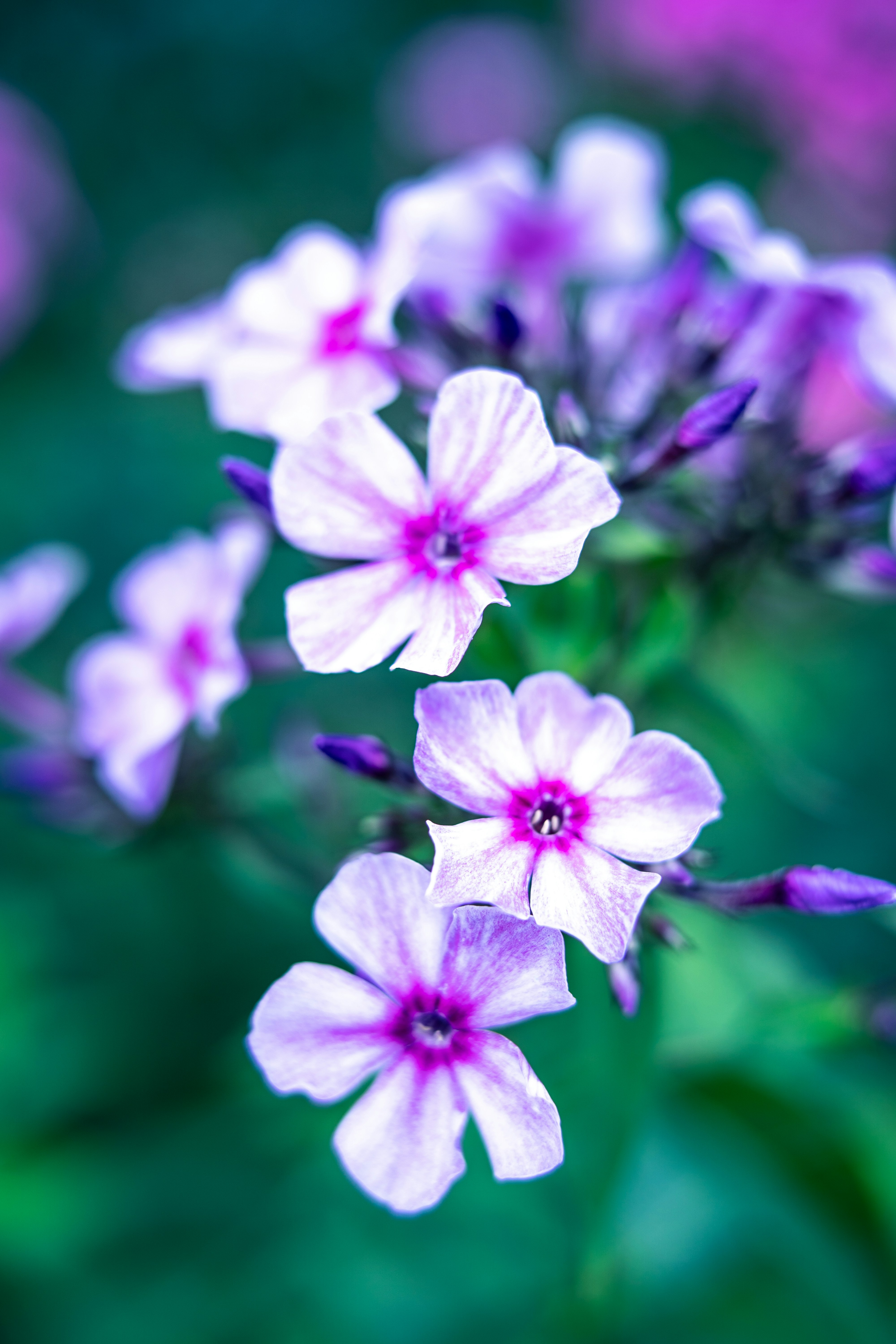 Photo by anamnesis33