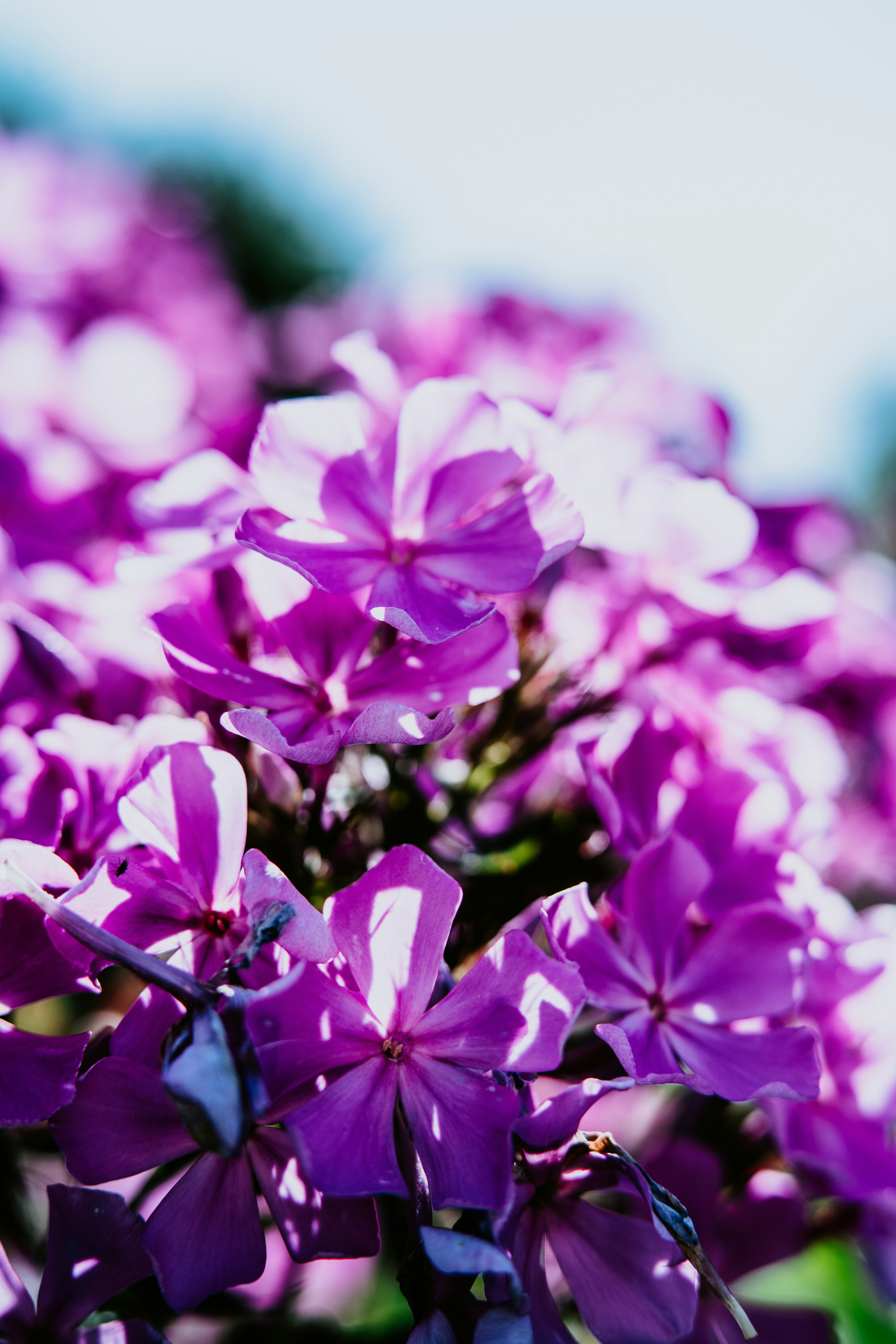 Photo by anamnesis33