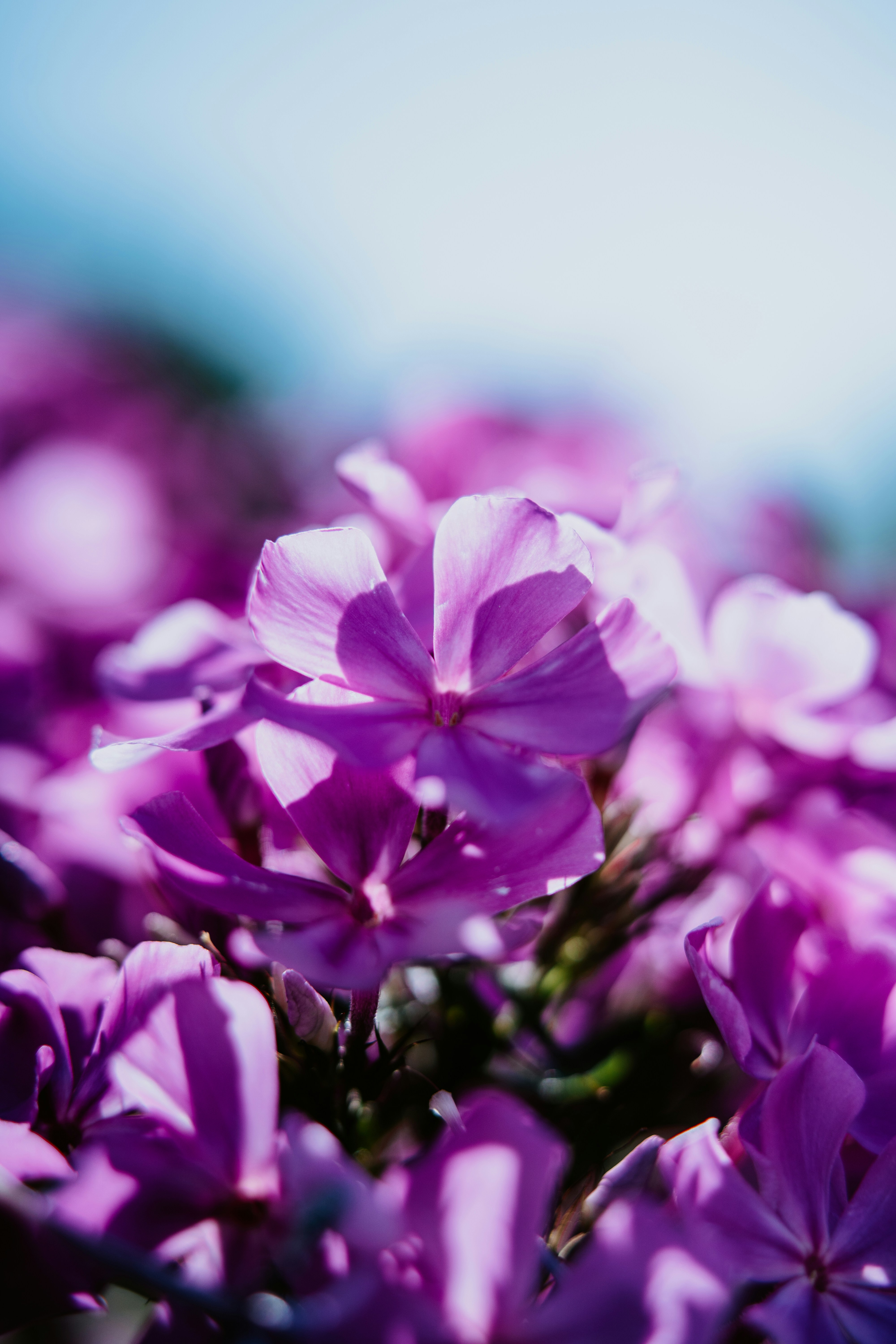 Photo by anamnesis33