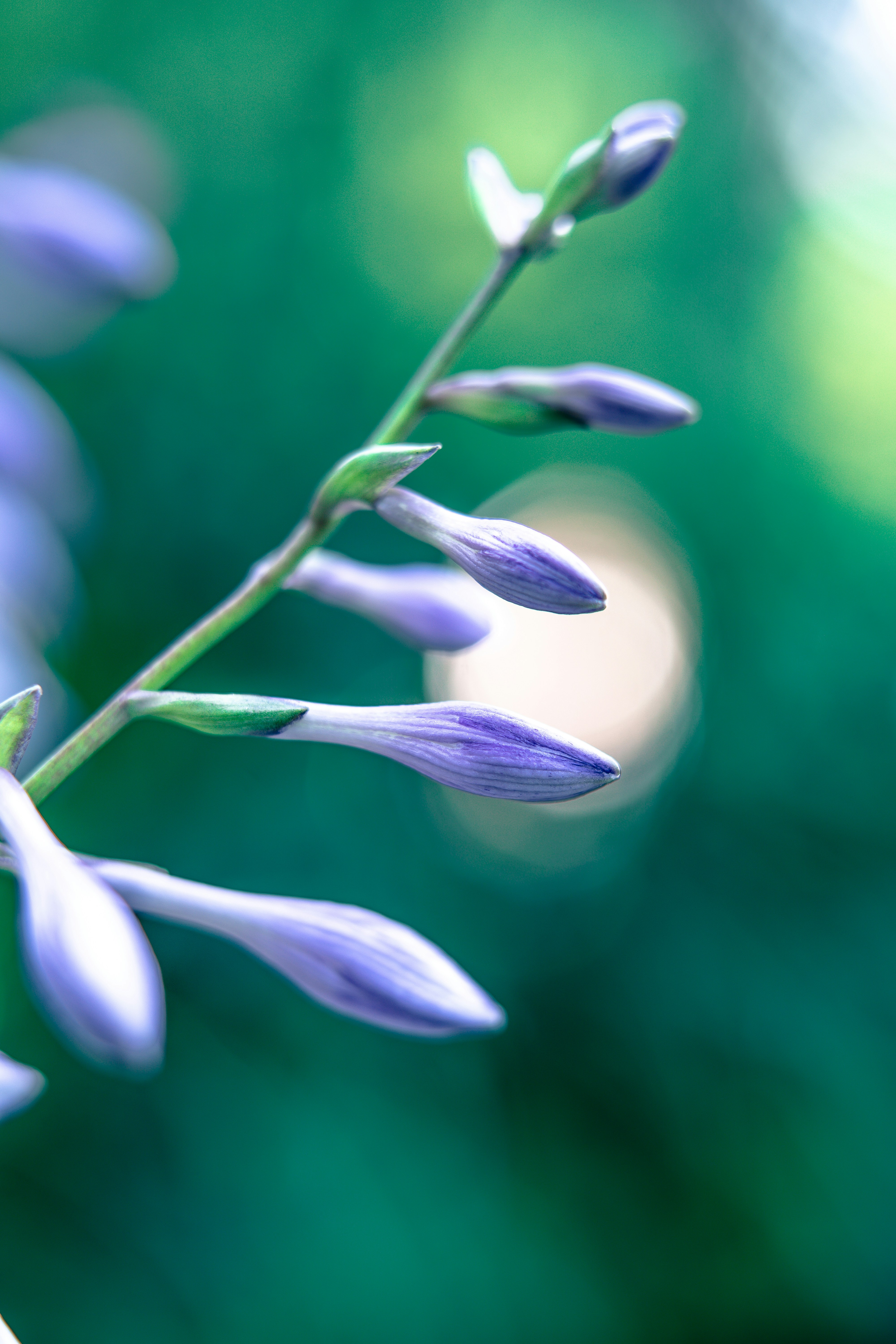 Photo by anamnesis33