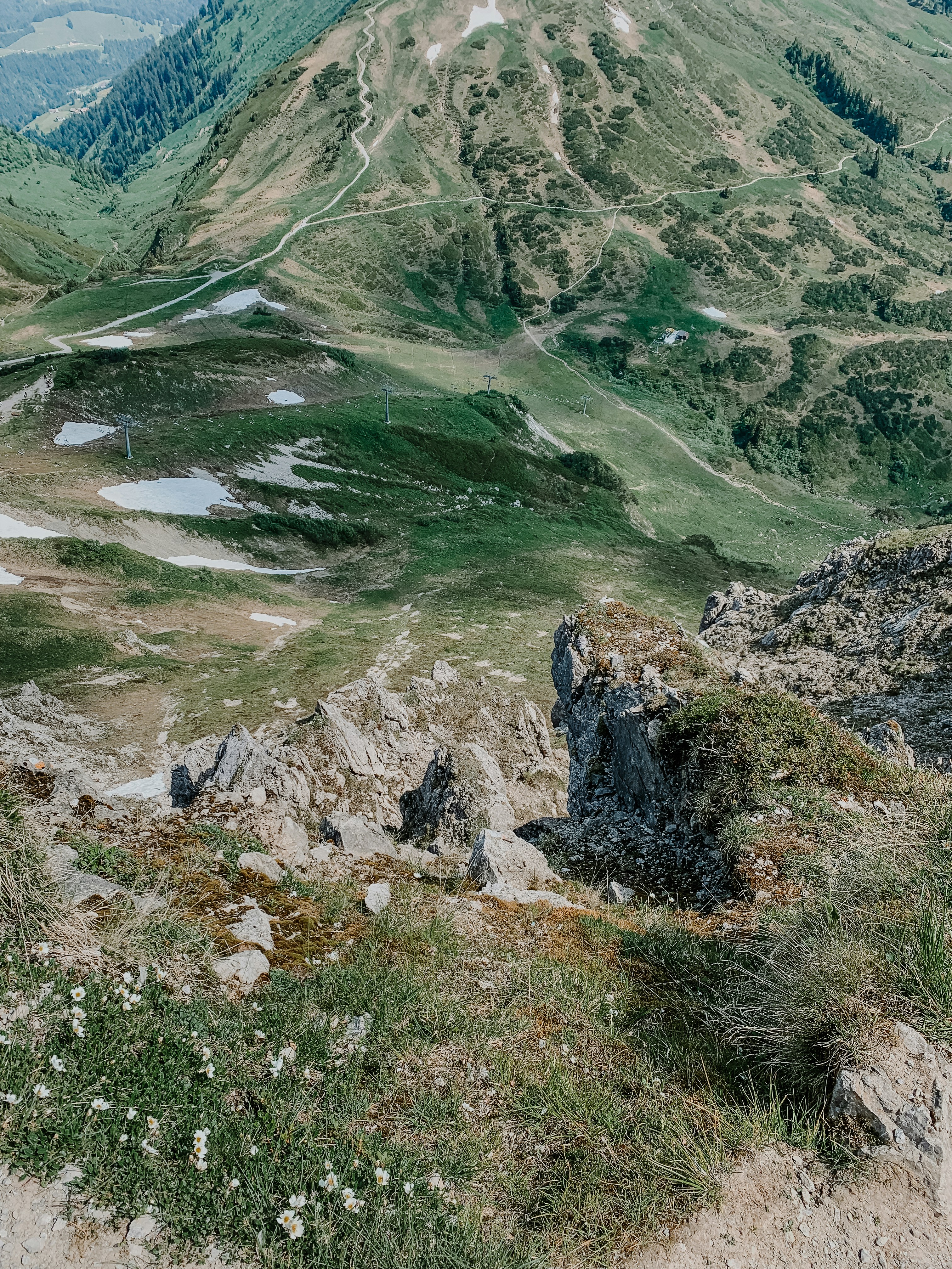 A man standing on top of a lush green hillside