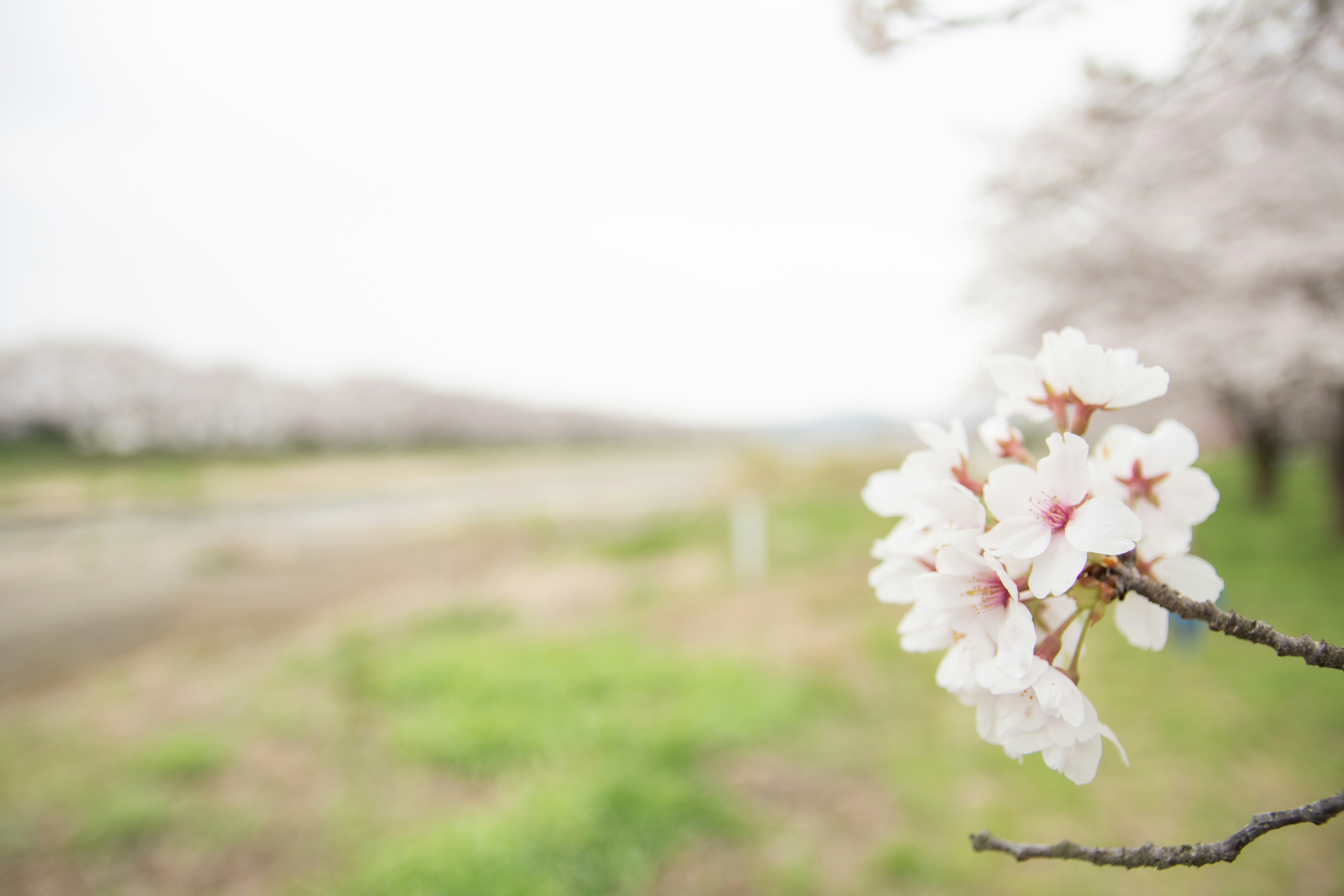 Photo by wwwawphoto
