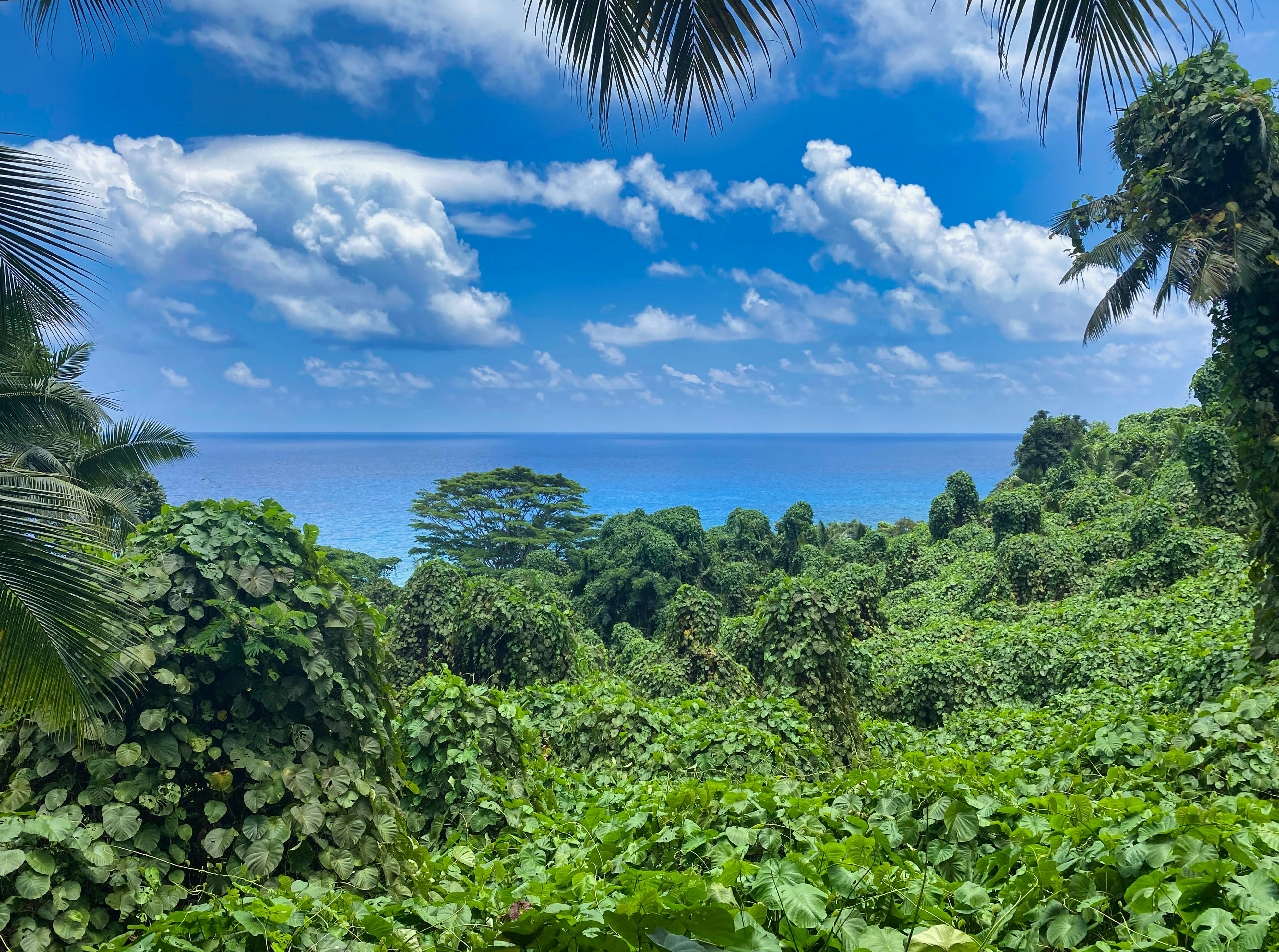 Photo by secrettravelguide