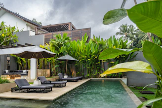 A house with a swimming pool surrounded by greenery