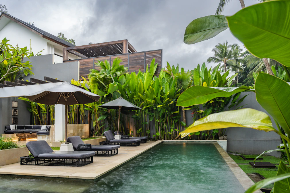A house with a swimming pool surrounded by greenery