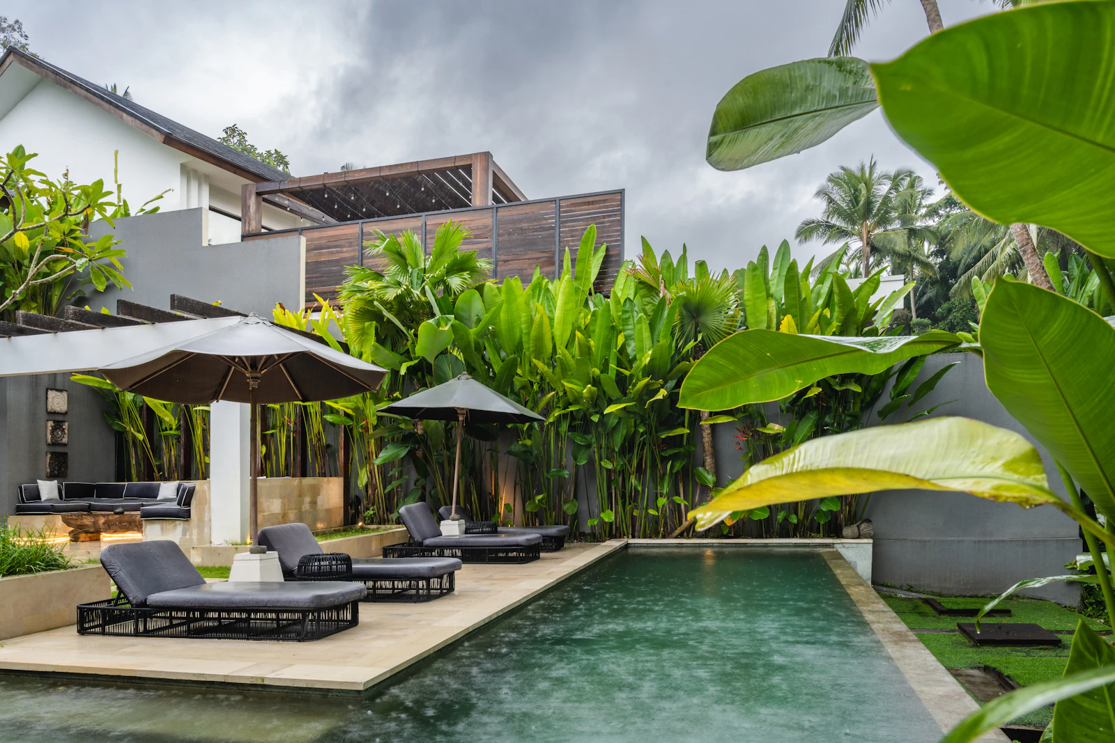House with a pool surrounded by mature planting