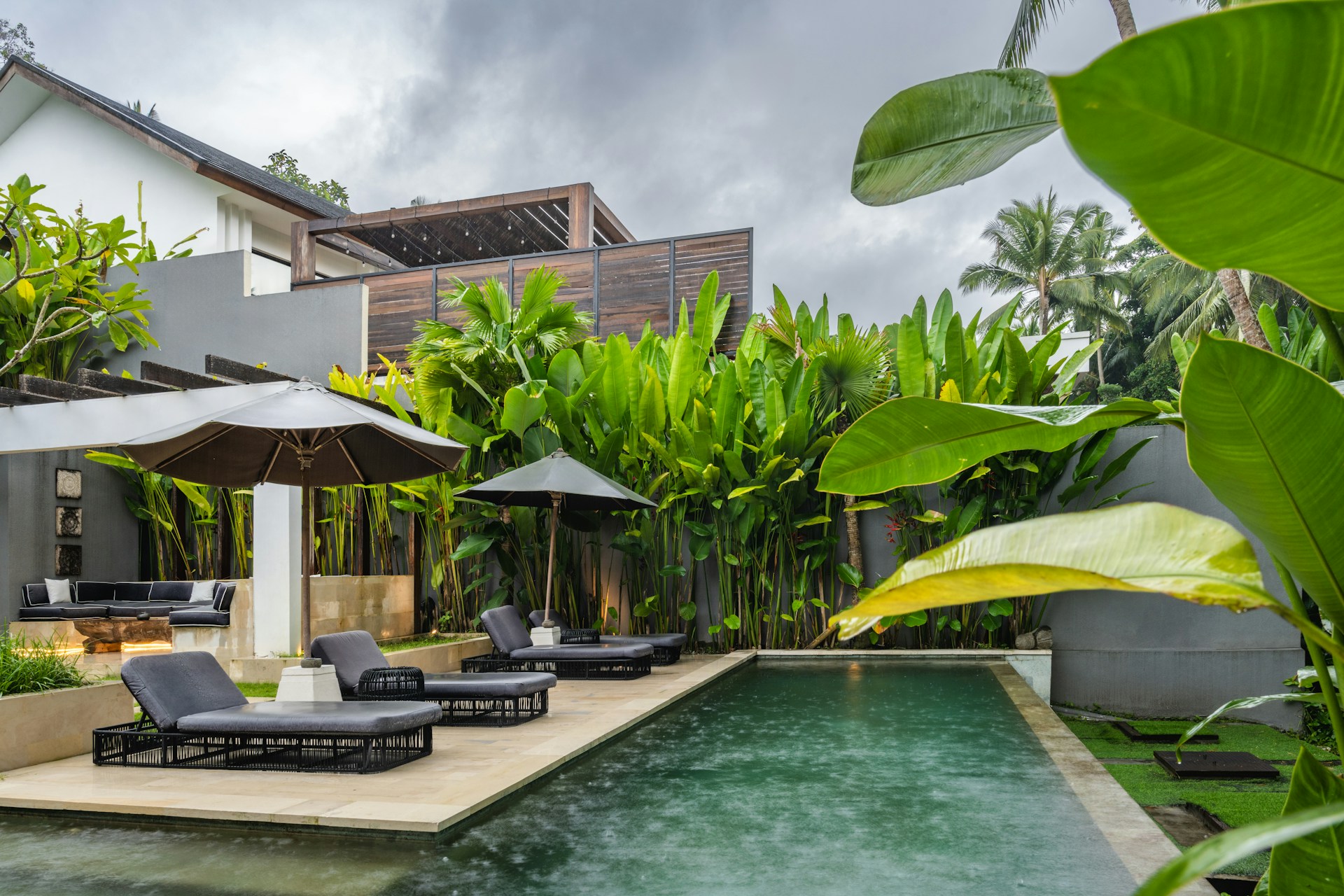 A house with a swimming pool surrounded by greenery