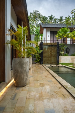A very nice looking house with a big pool