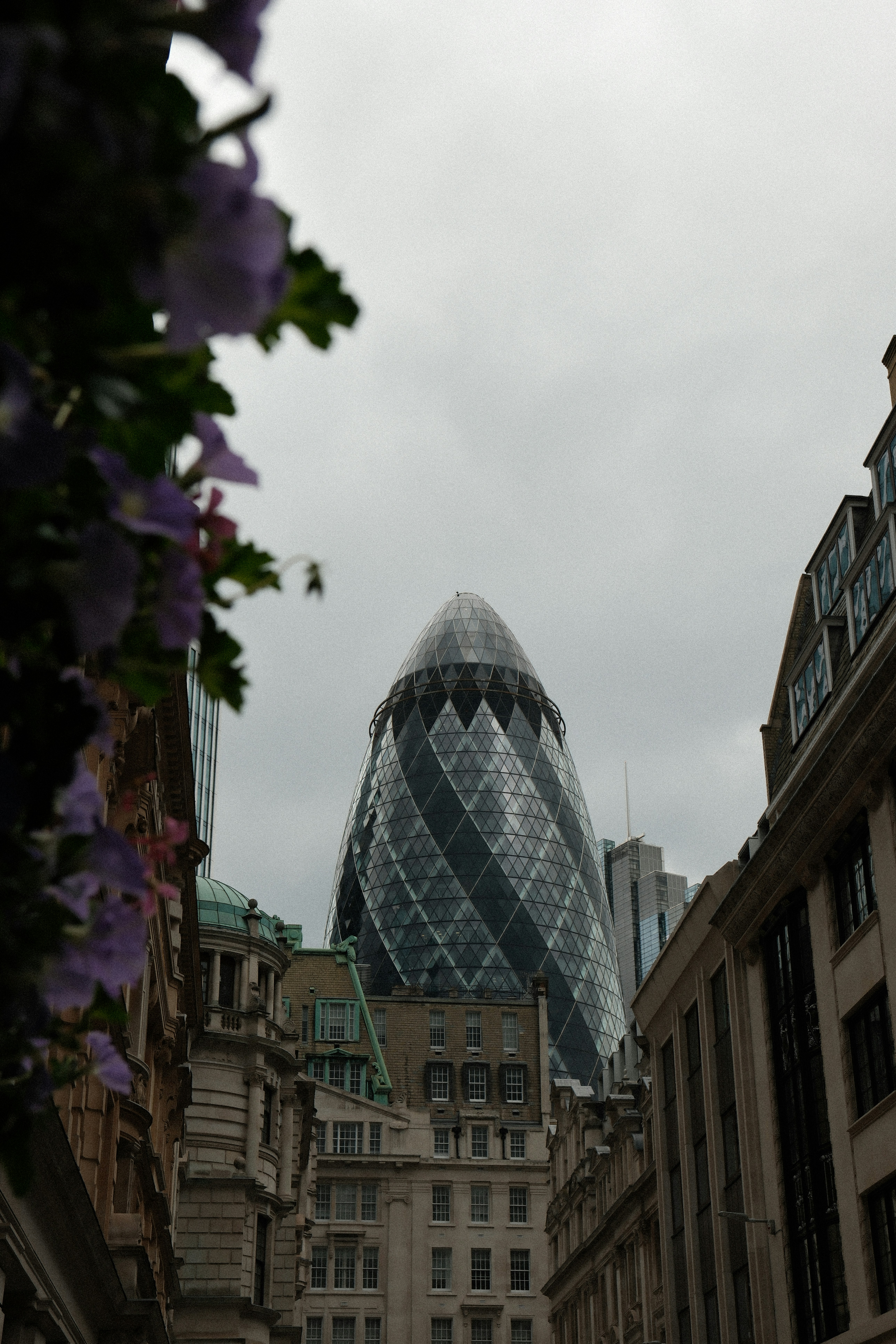 Photo by harryborrettphotography