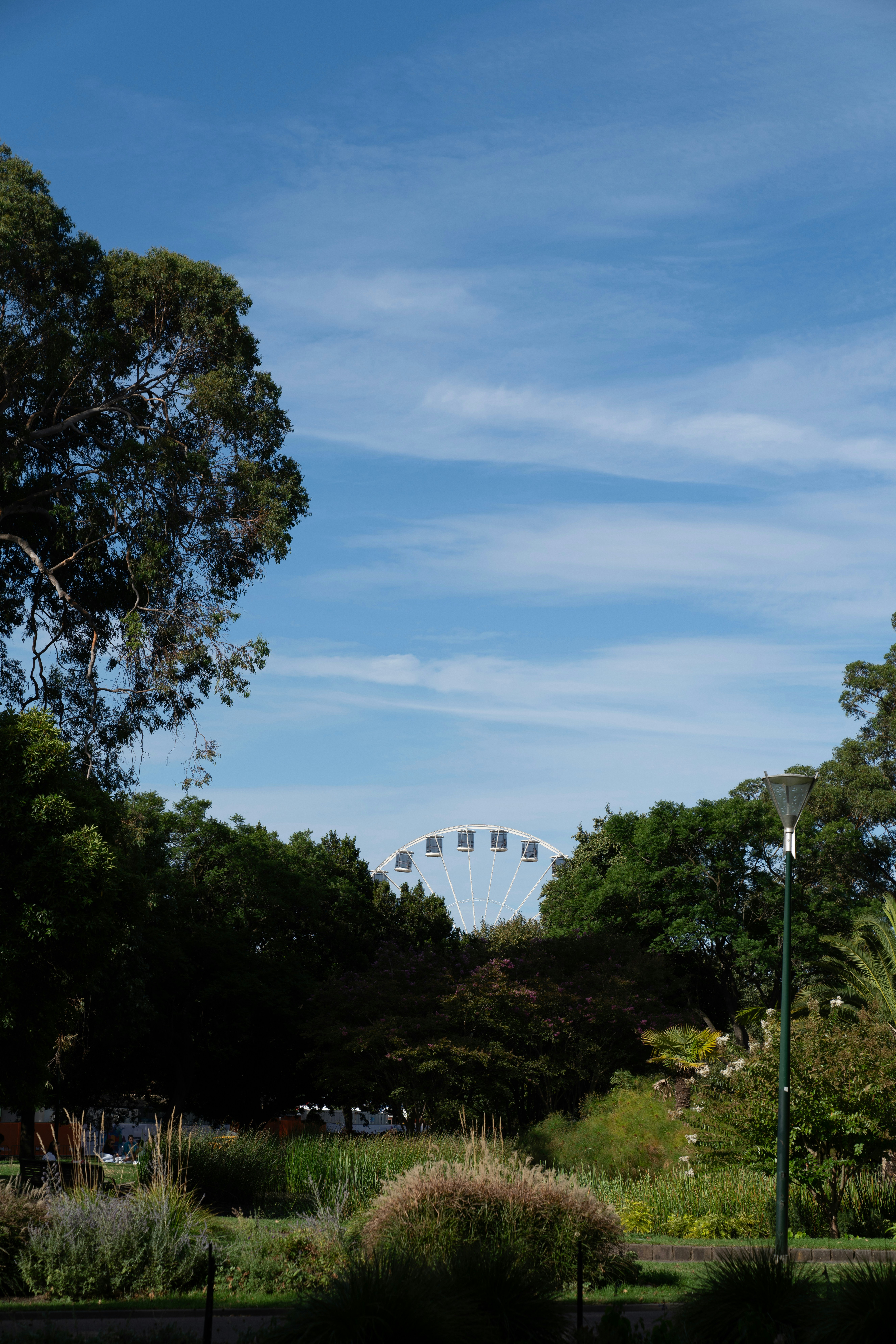 A park with lots of trees and bushes