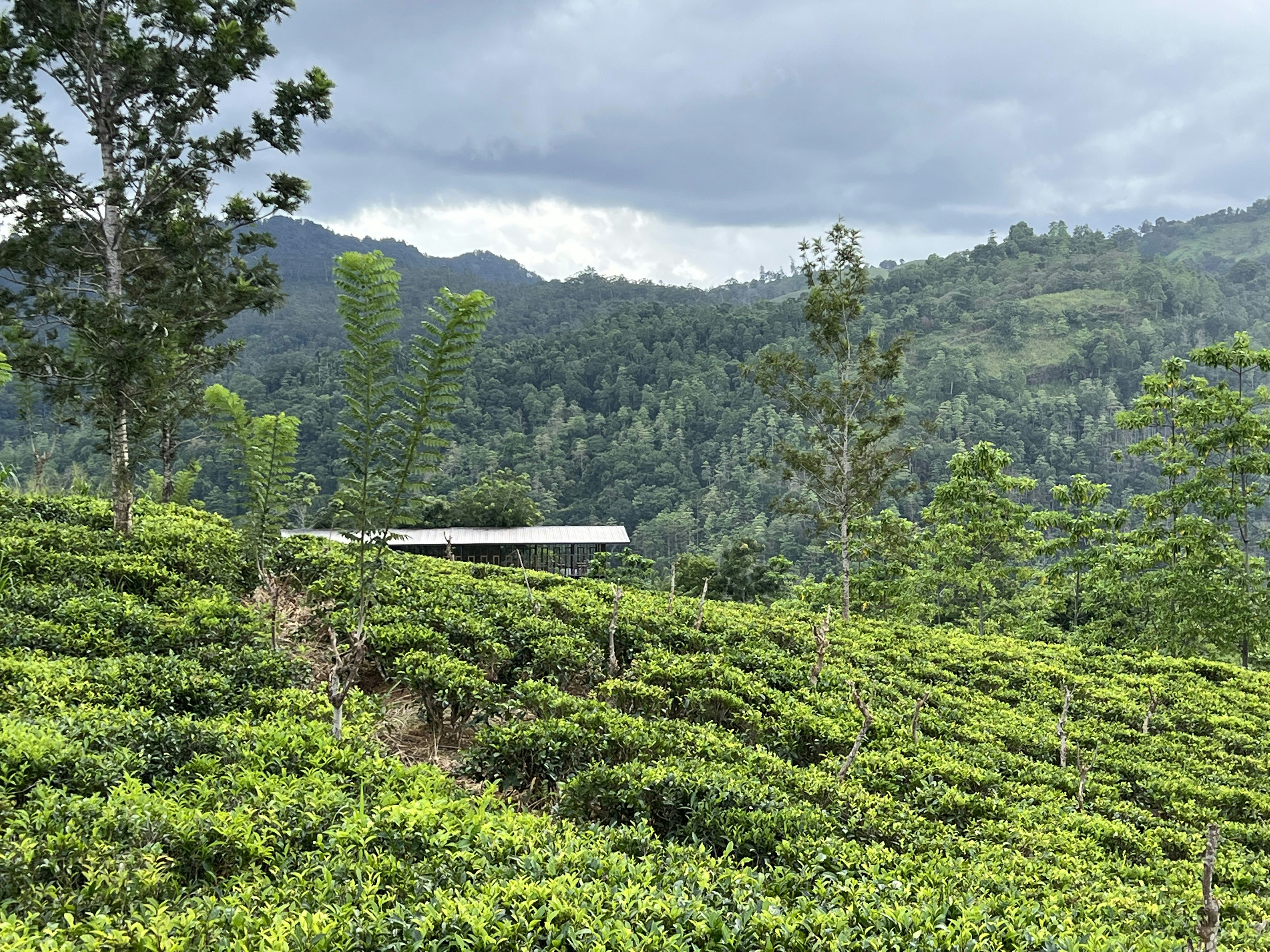 Photo by datingjungle