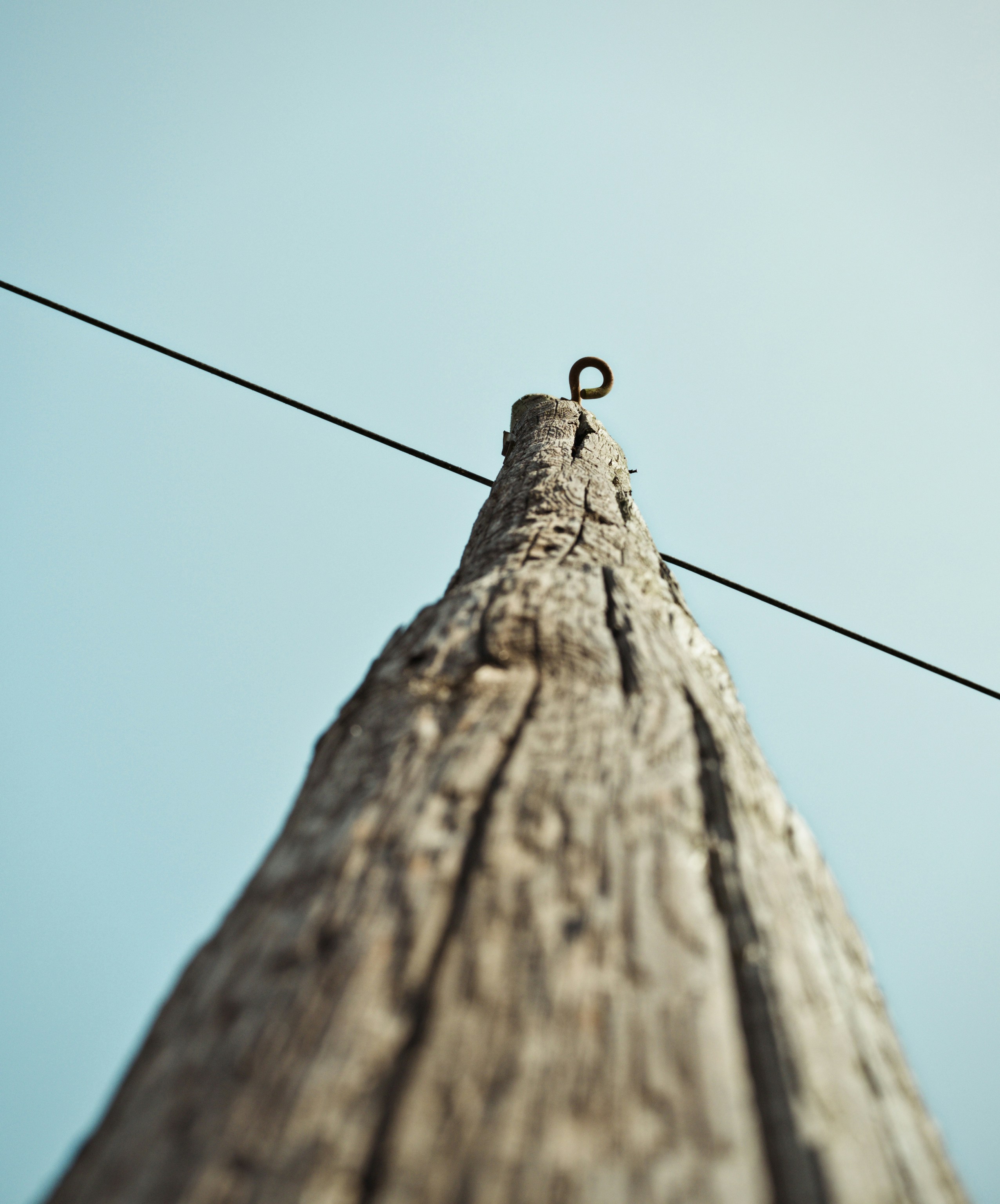 Photo by donkeyradish