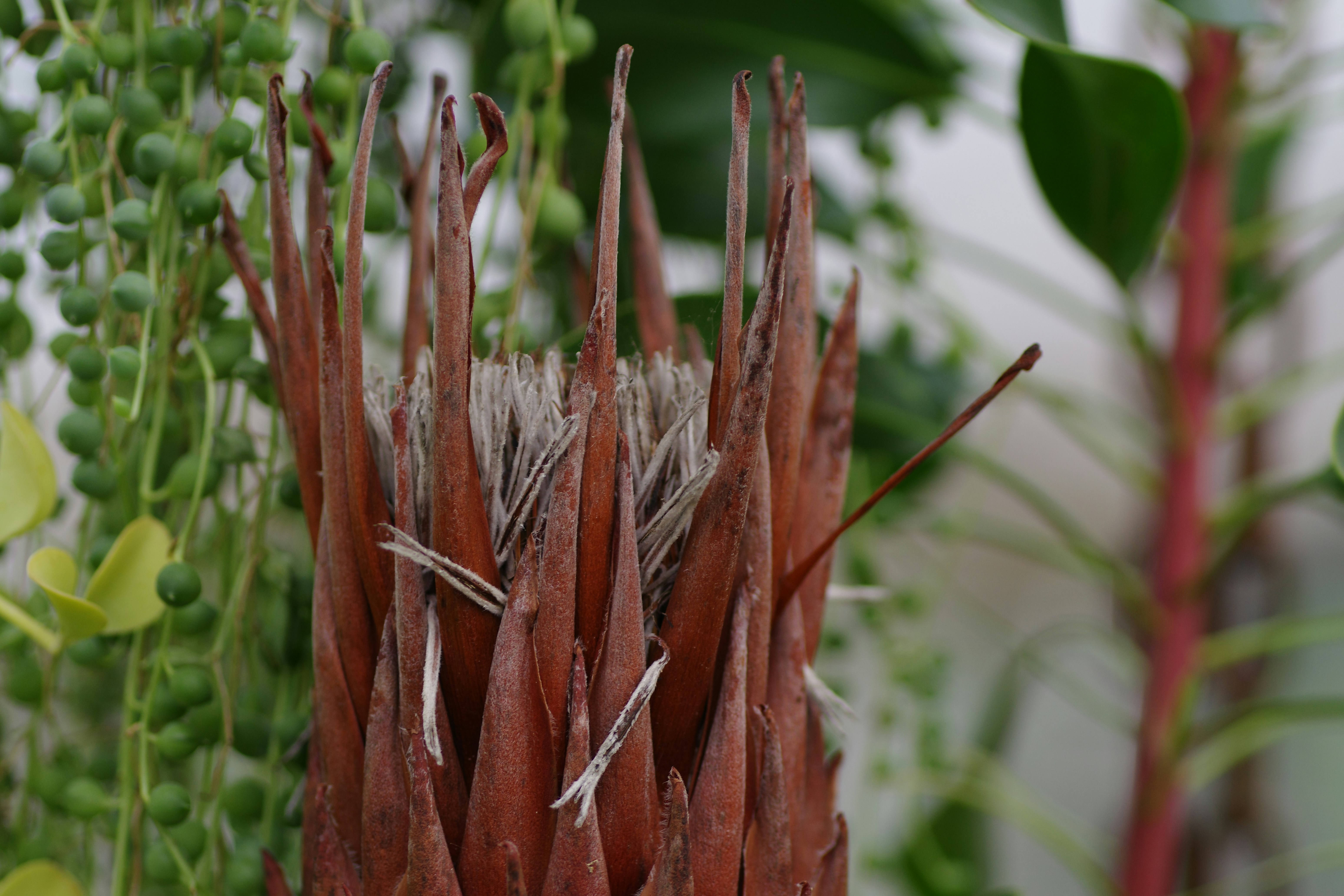 Beautiful green and flower garden