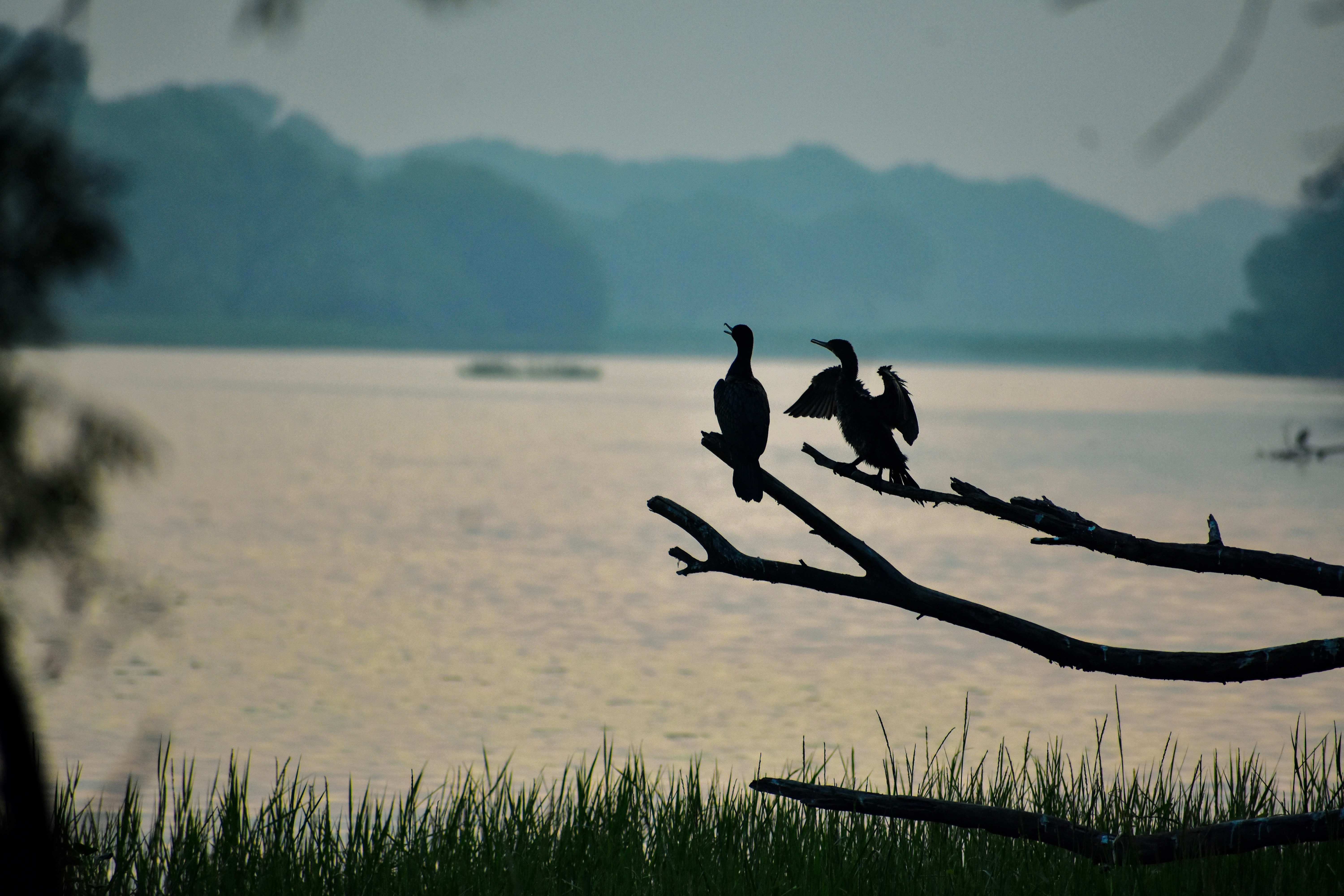 Photo by dharm_chauhan_03