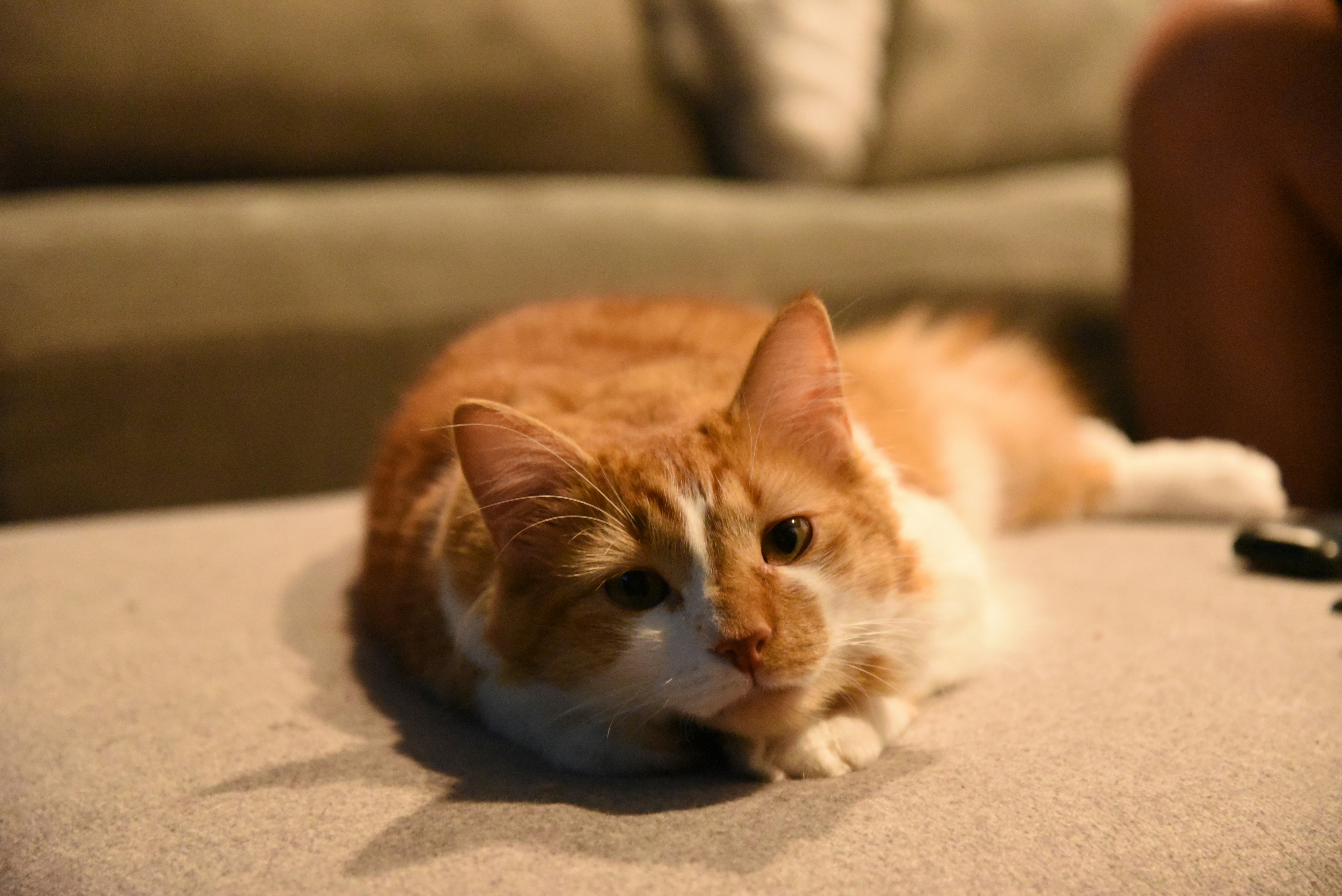 Photo by photographylikesme