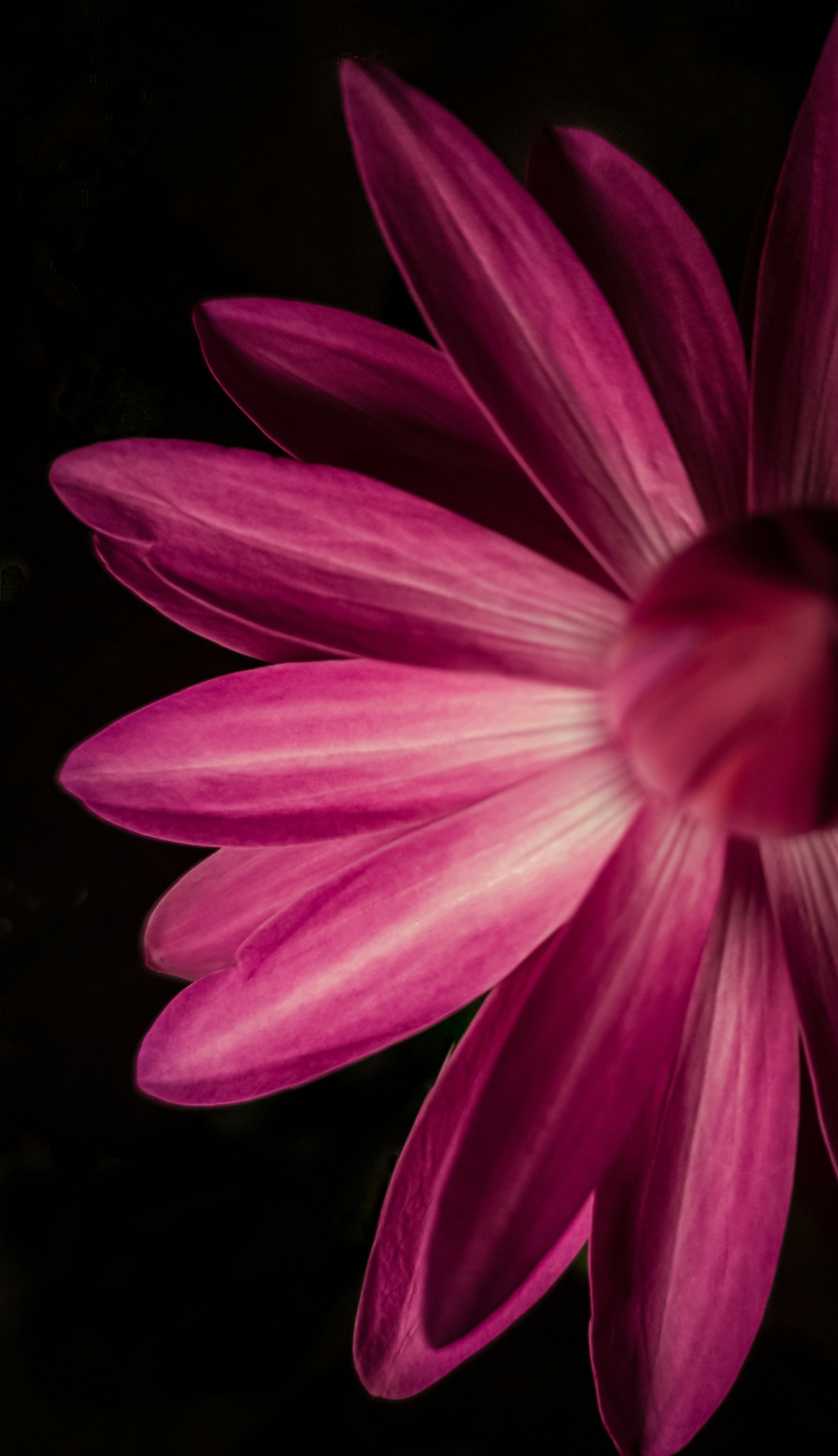 Photo by true_reflection_s