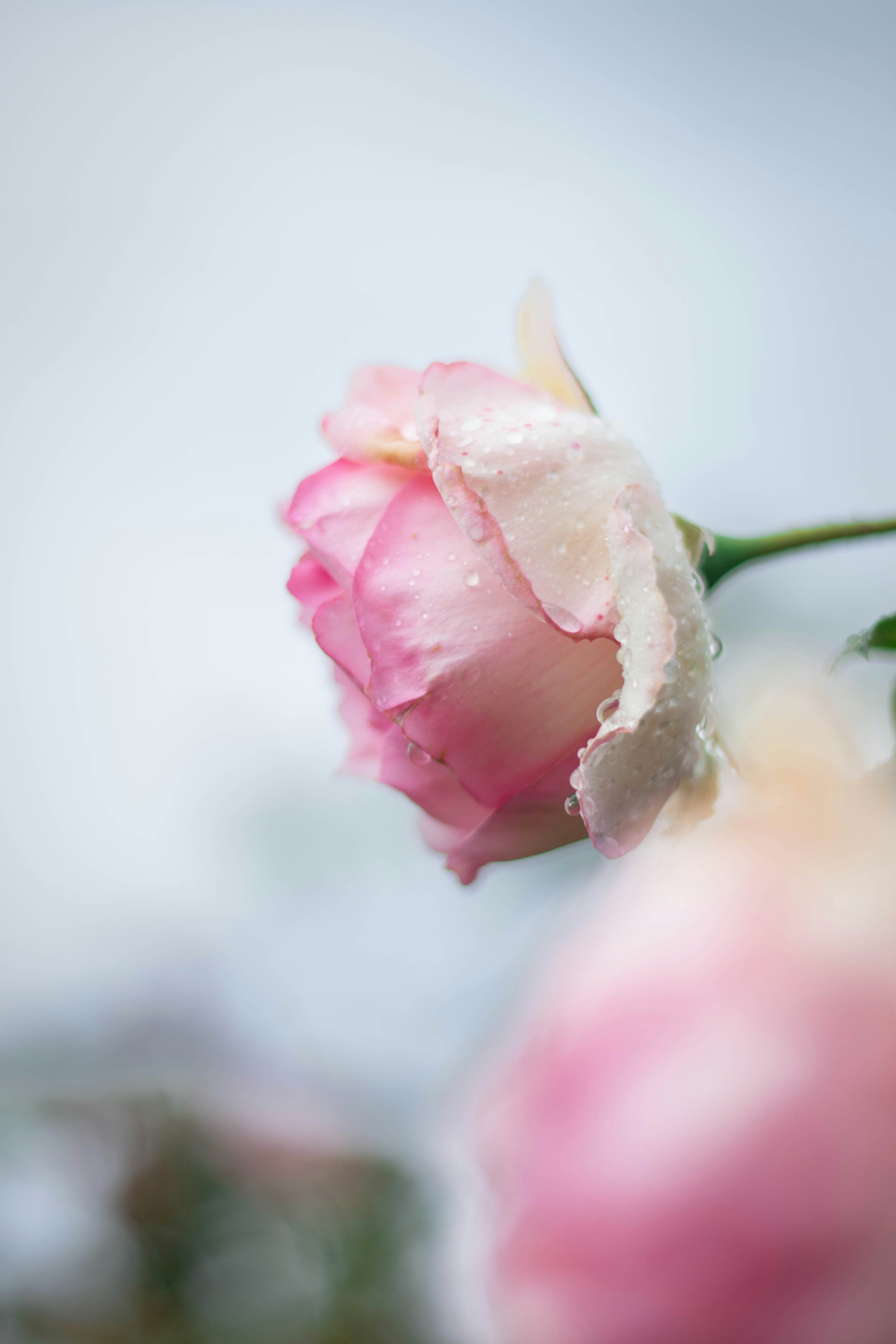 Photo by leadeleligne