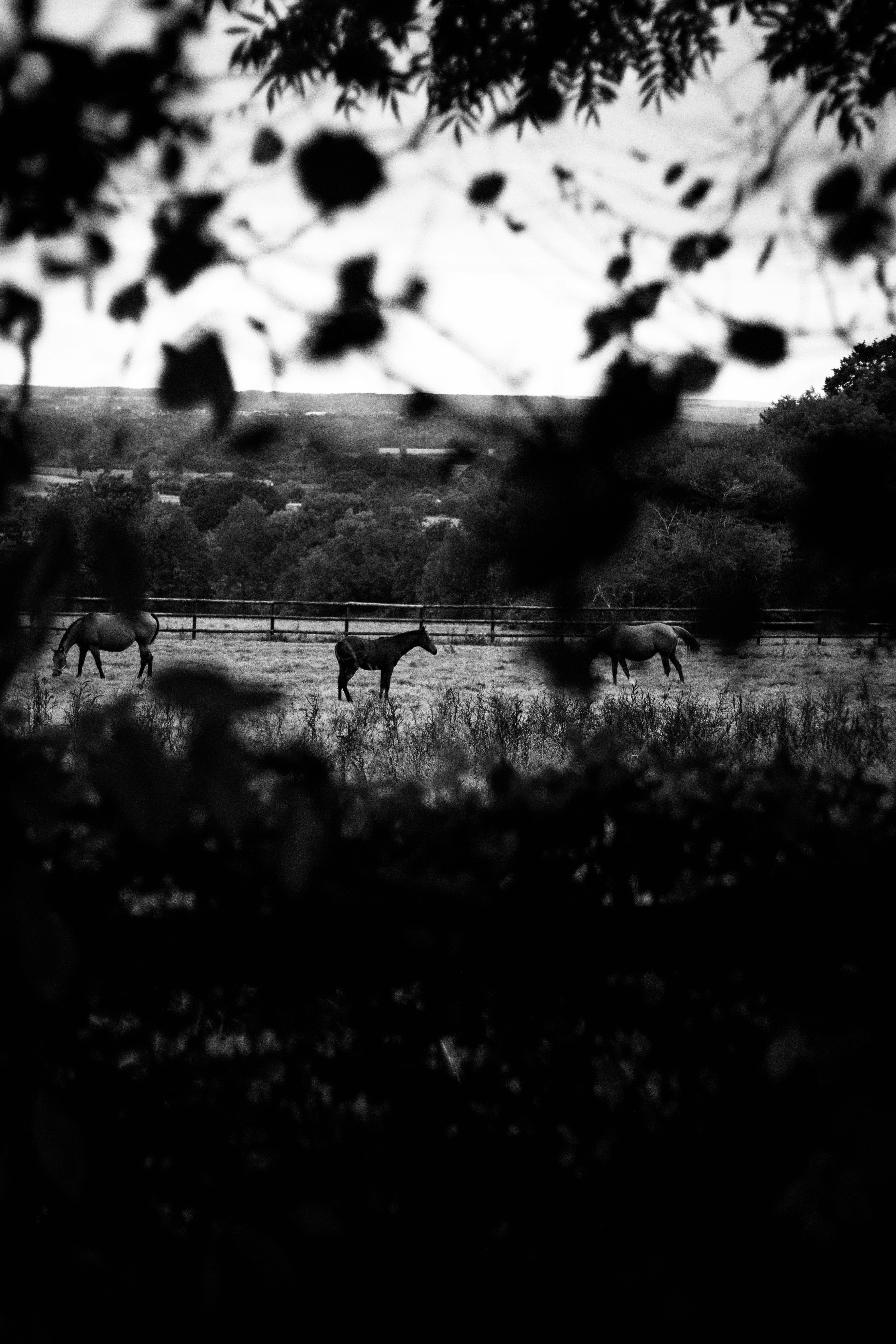 Photo by leadeleligne