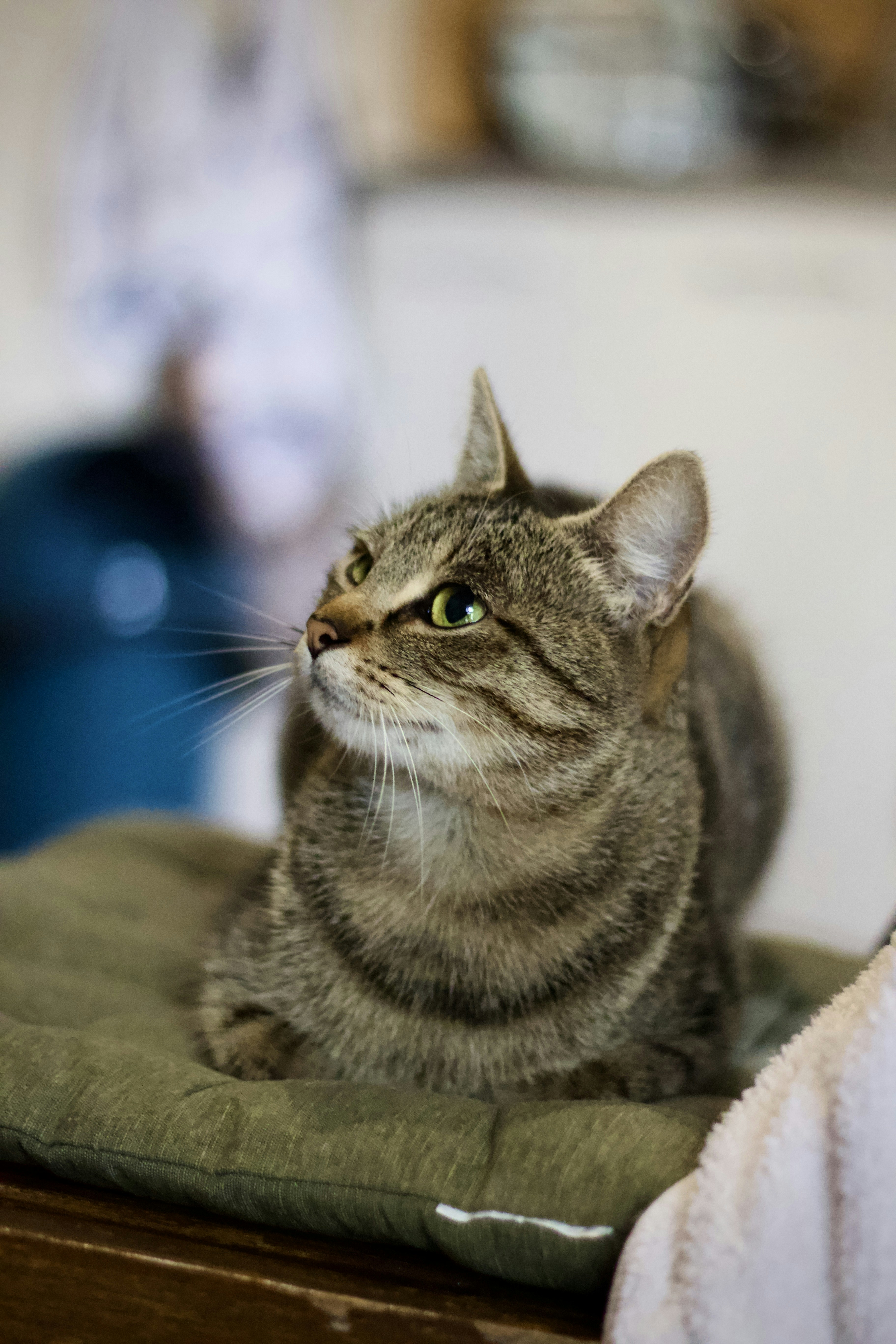 Photo by leadeleligne