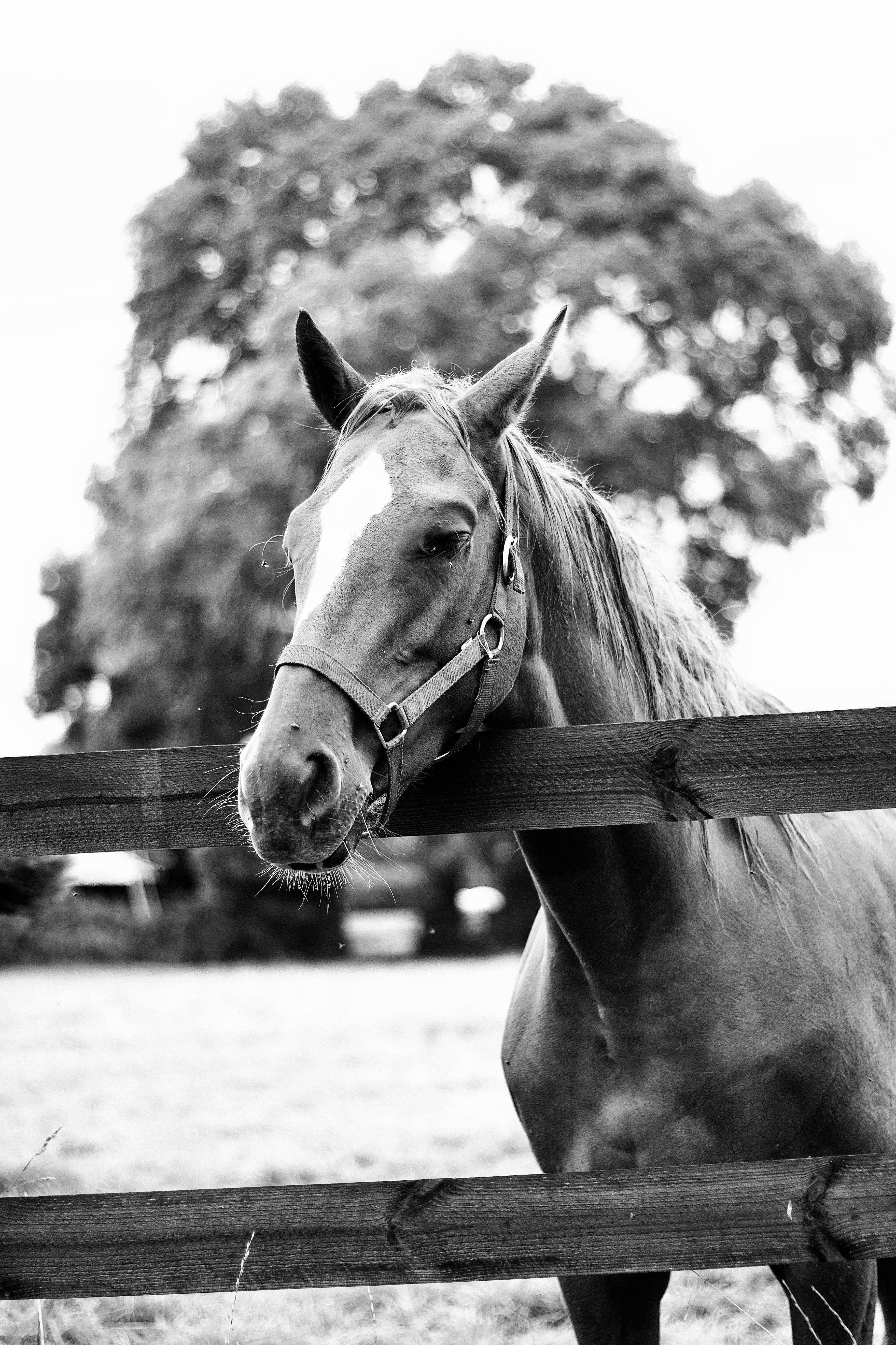 Photo by leadeleligne