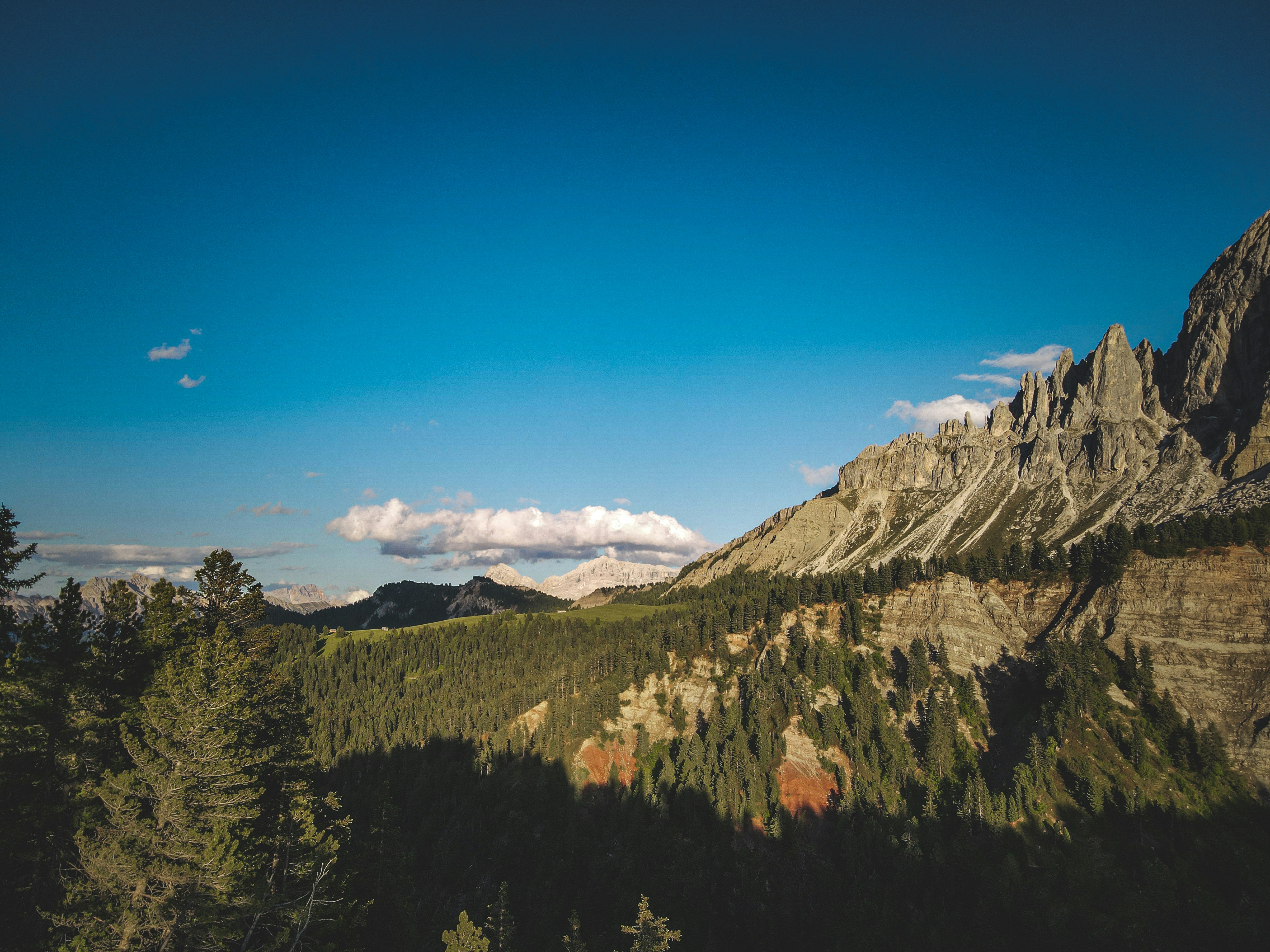 Photo by francesco_ungaro