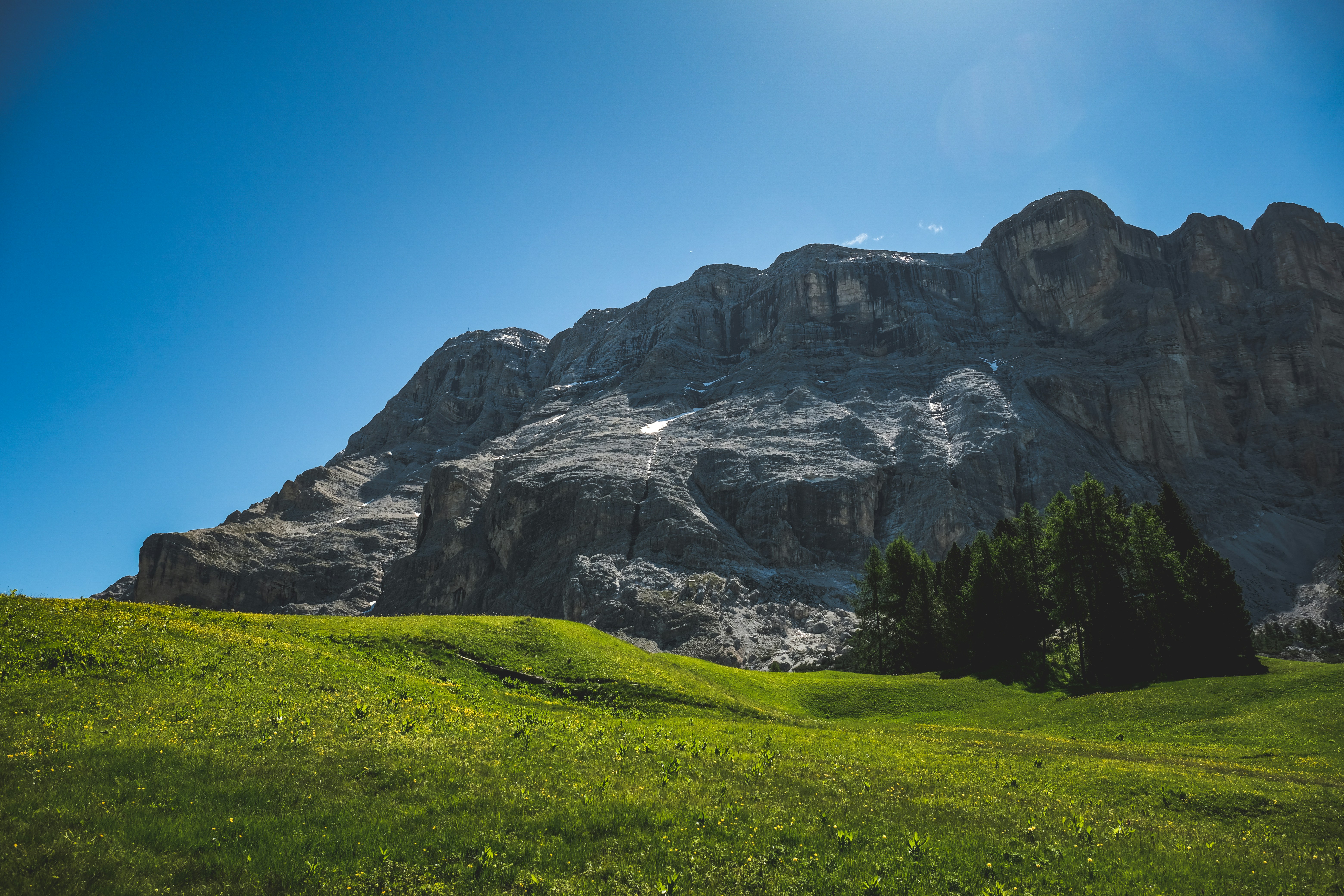 Photo by francesco_ungaro