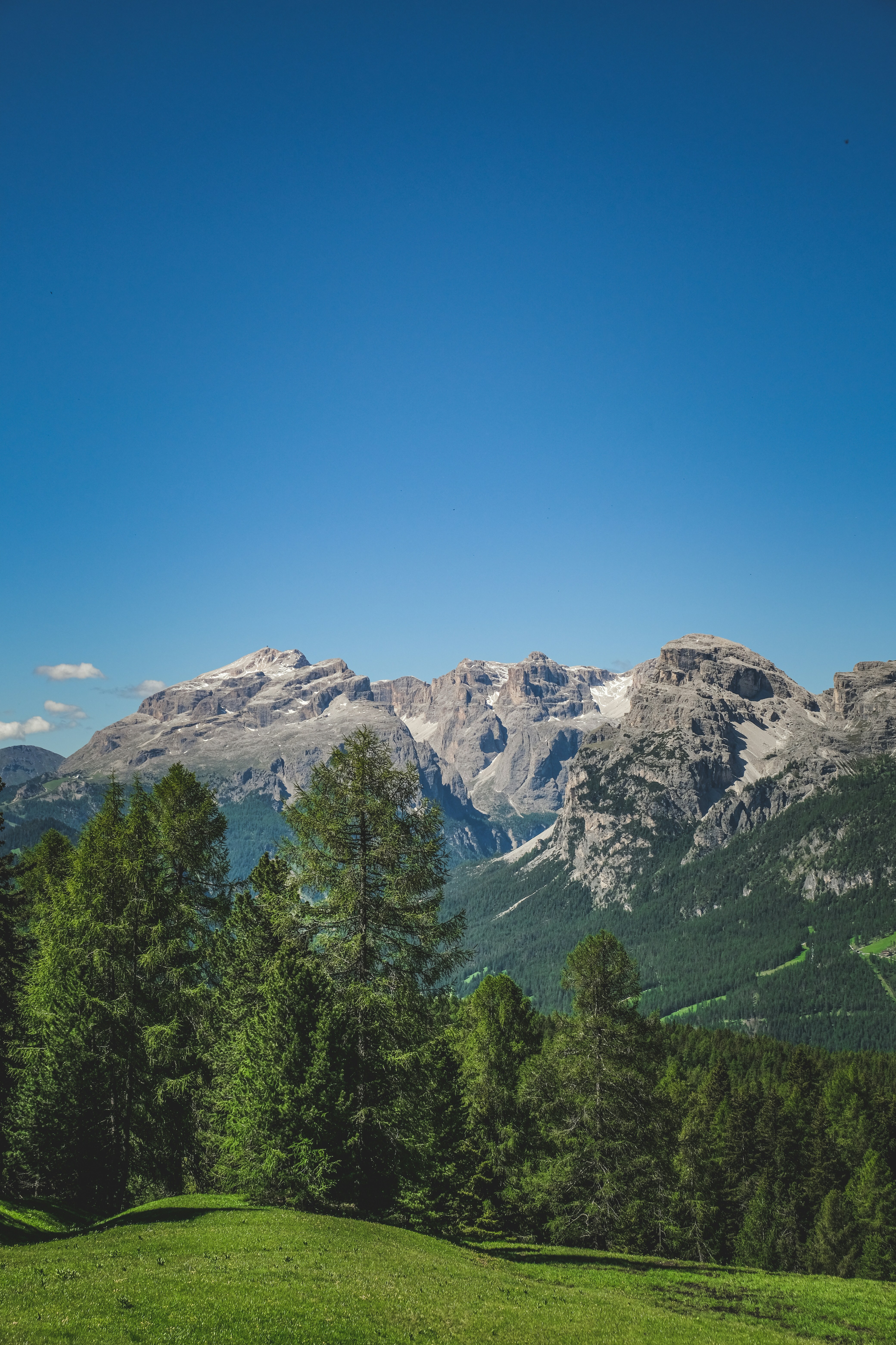 Photo by francesco_ungaro