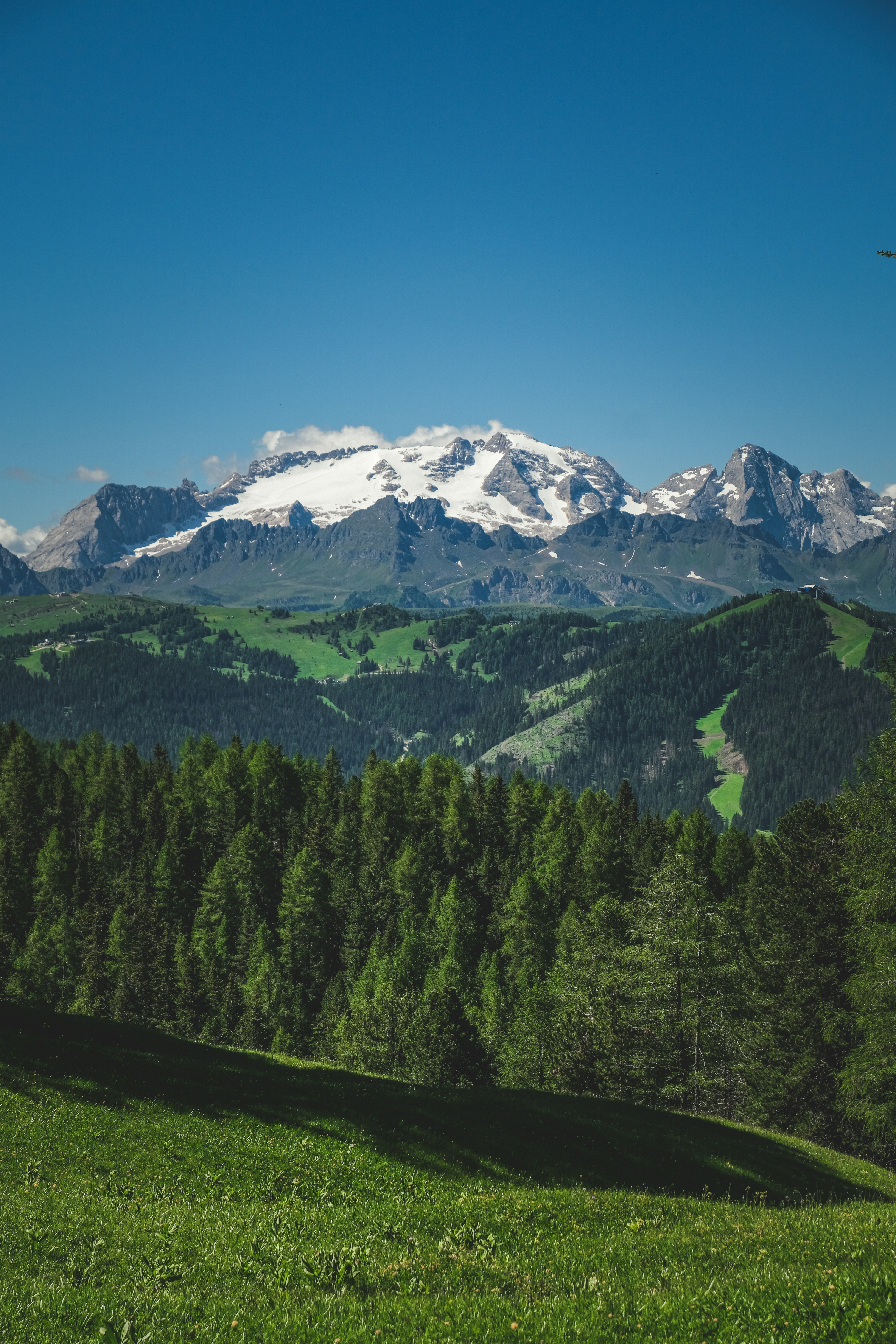 Photo by francesco_ungaro