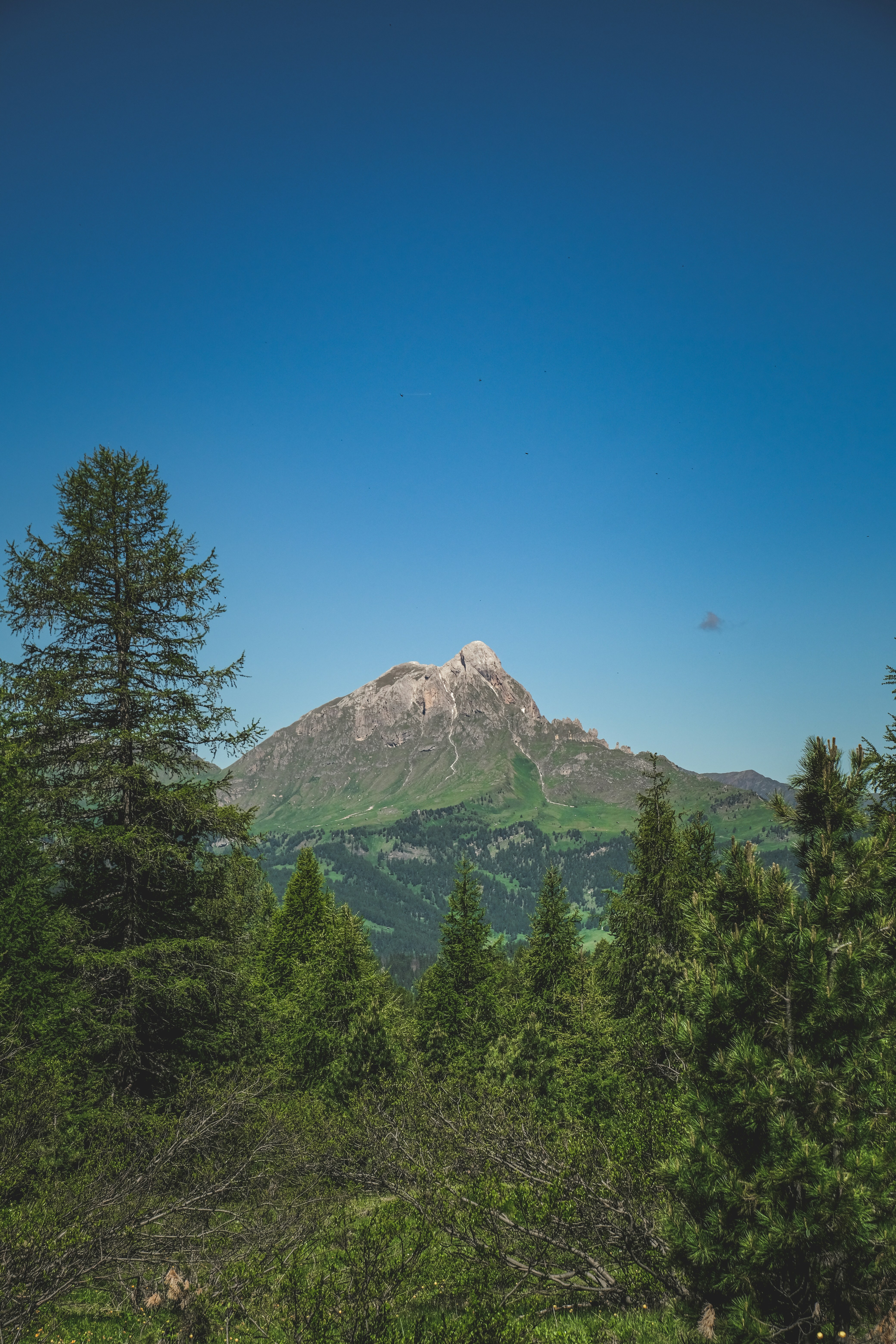 Photo by francesco_ungaro