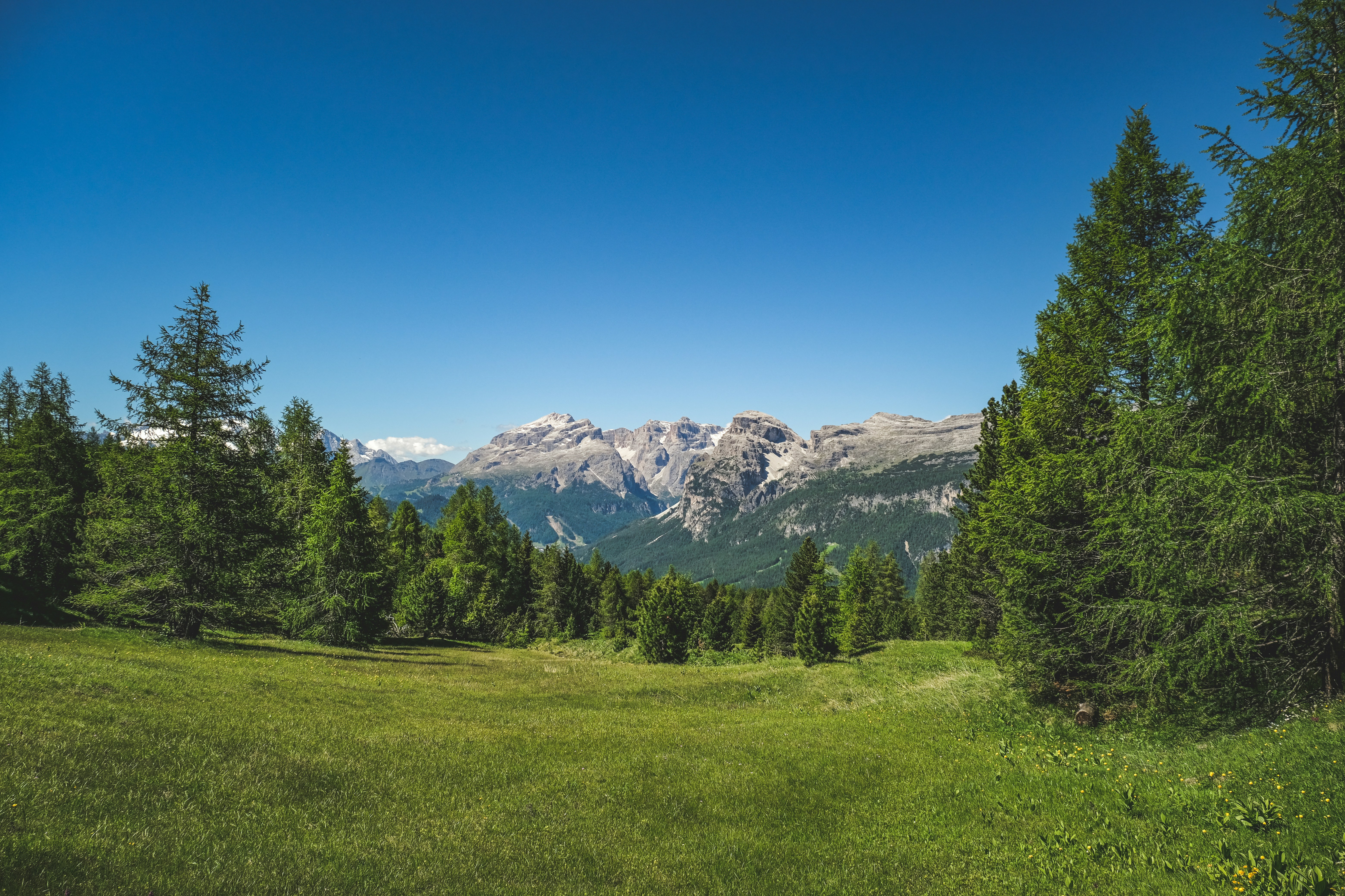 Photo by francesco_ungaro