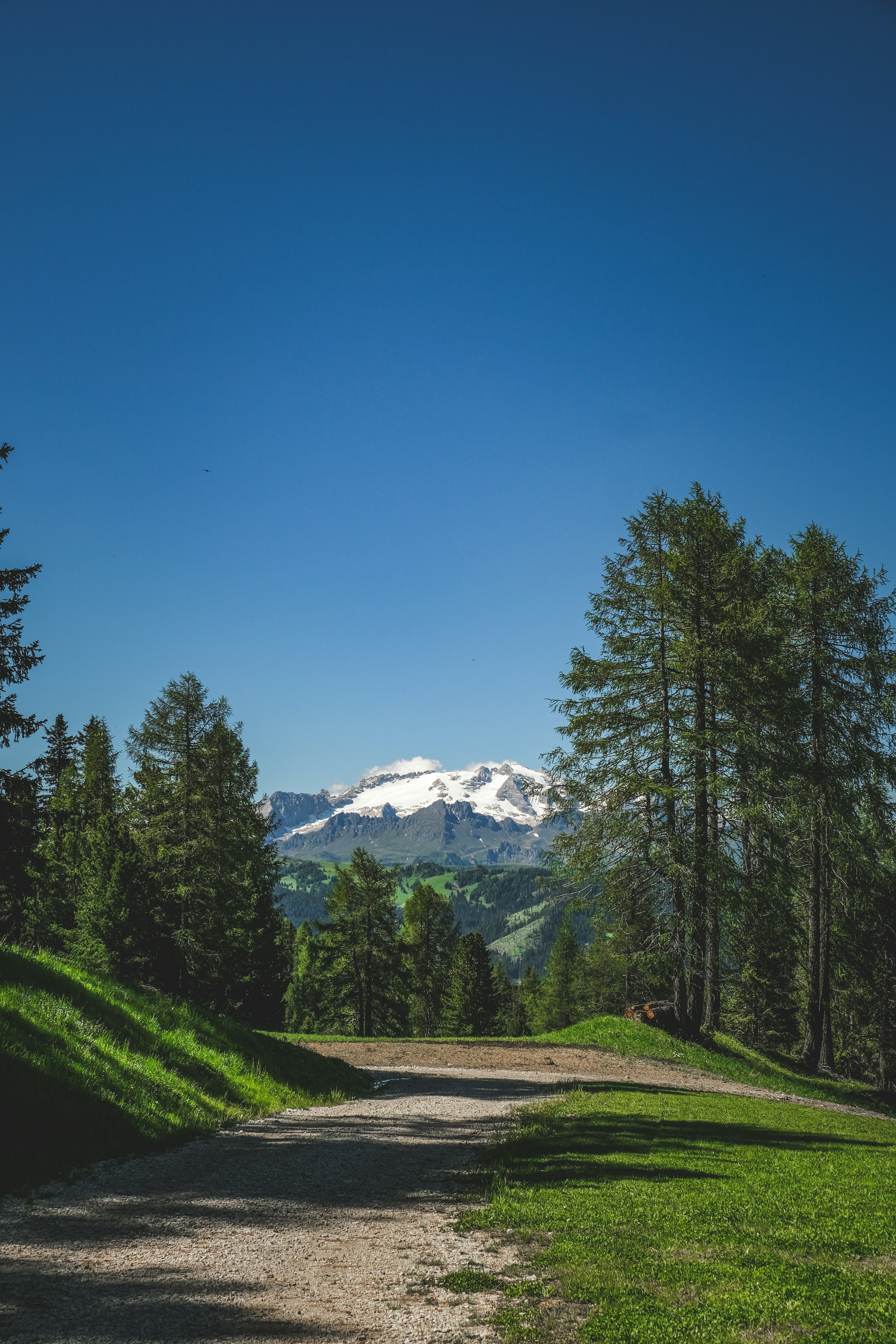 Photo by francesco_ungaro