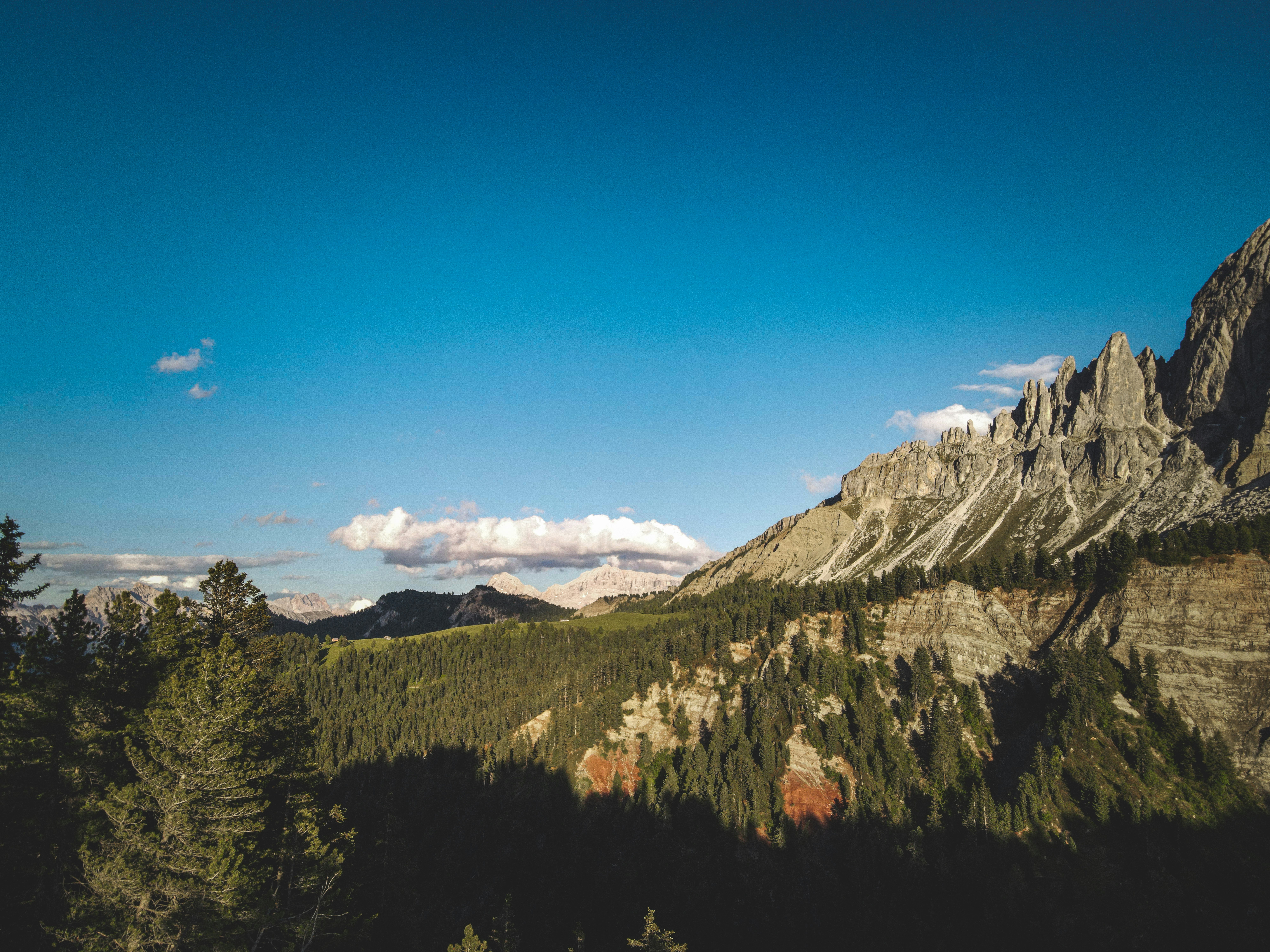 Photo by francesco_ungaro