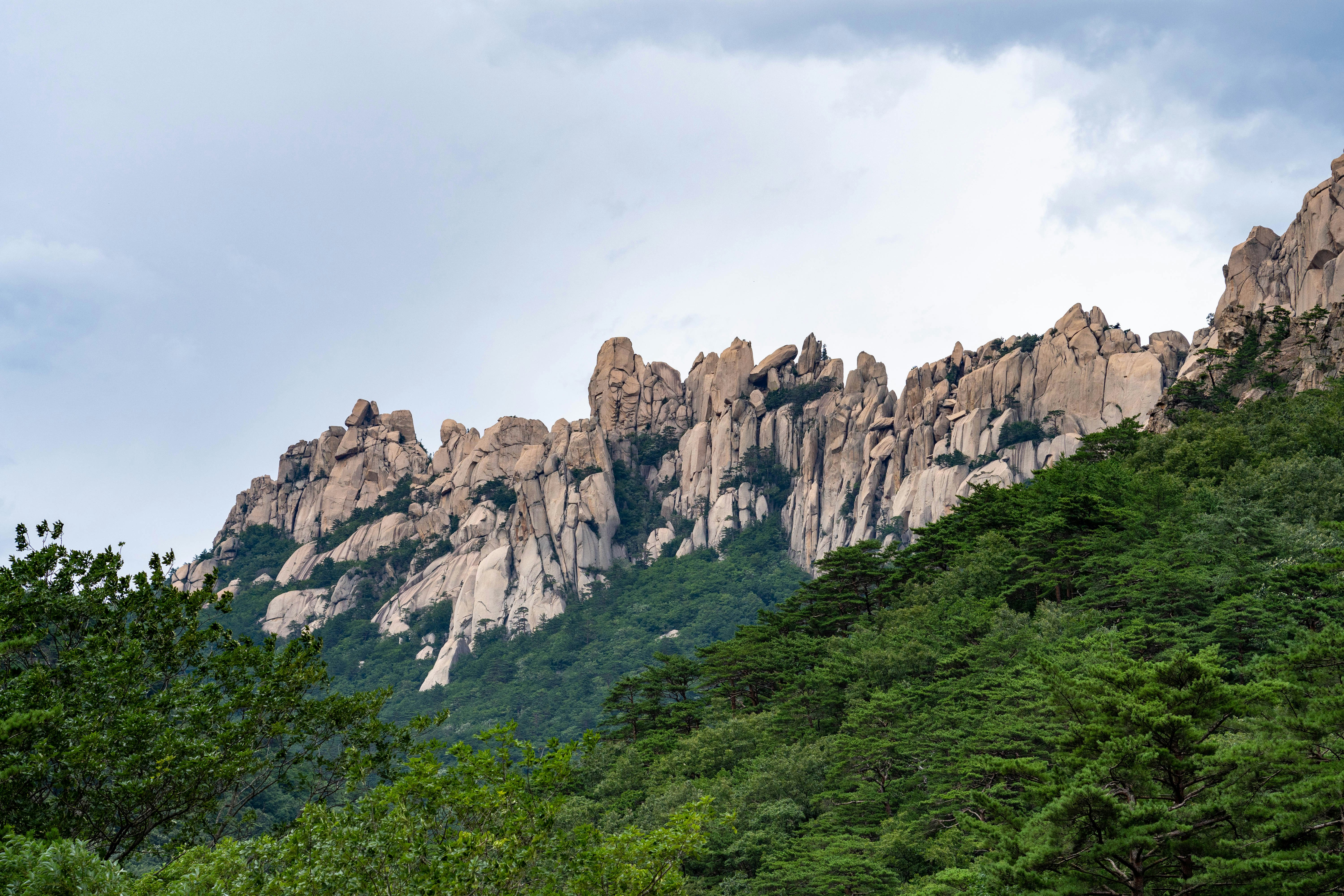 Photo by alohaboston