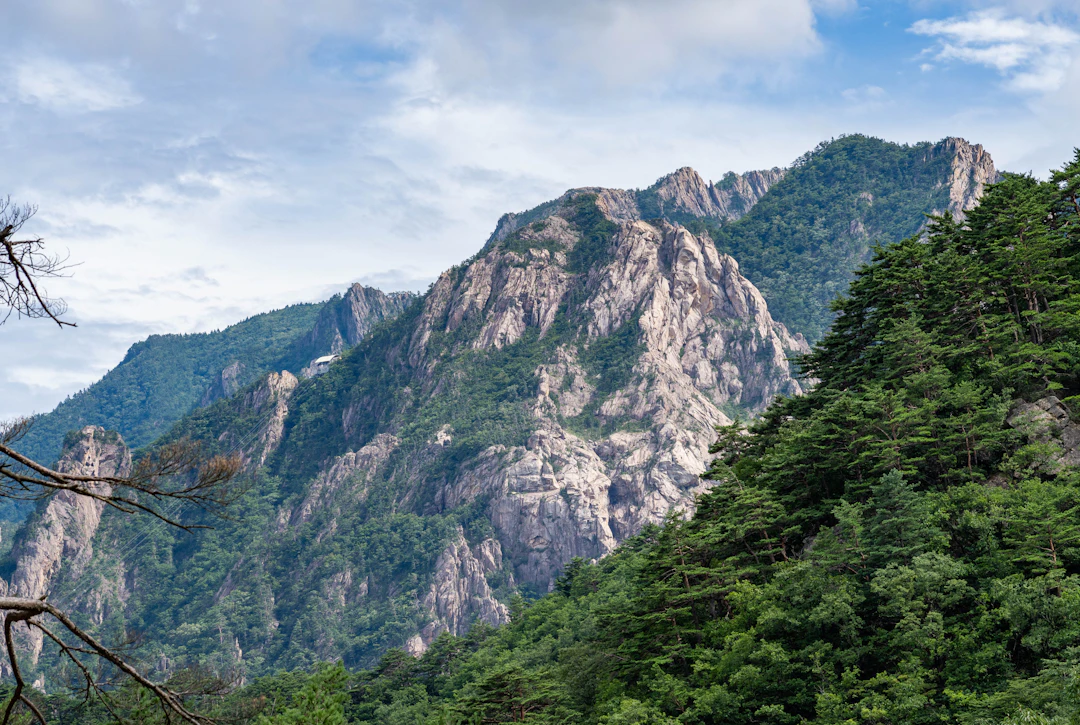 Family Weekend in Sokcho: A 3-Day Relaxed Itinerary