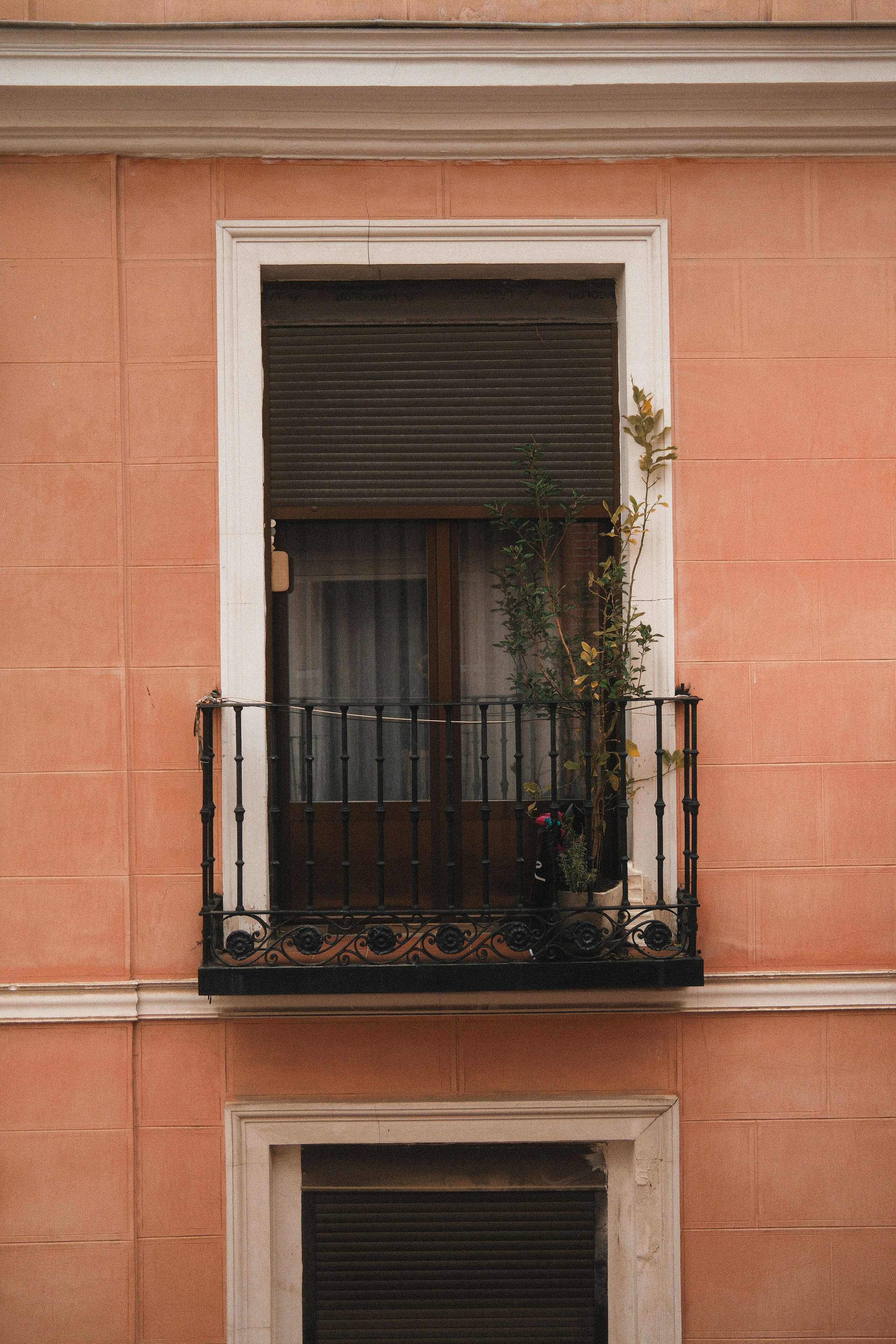 Photo by limamauro23