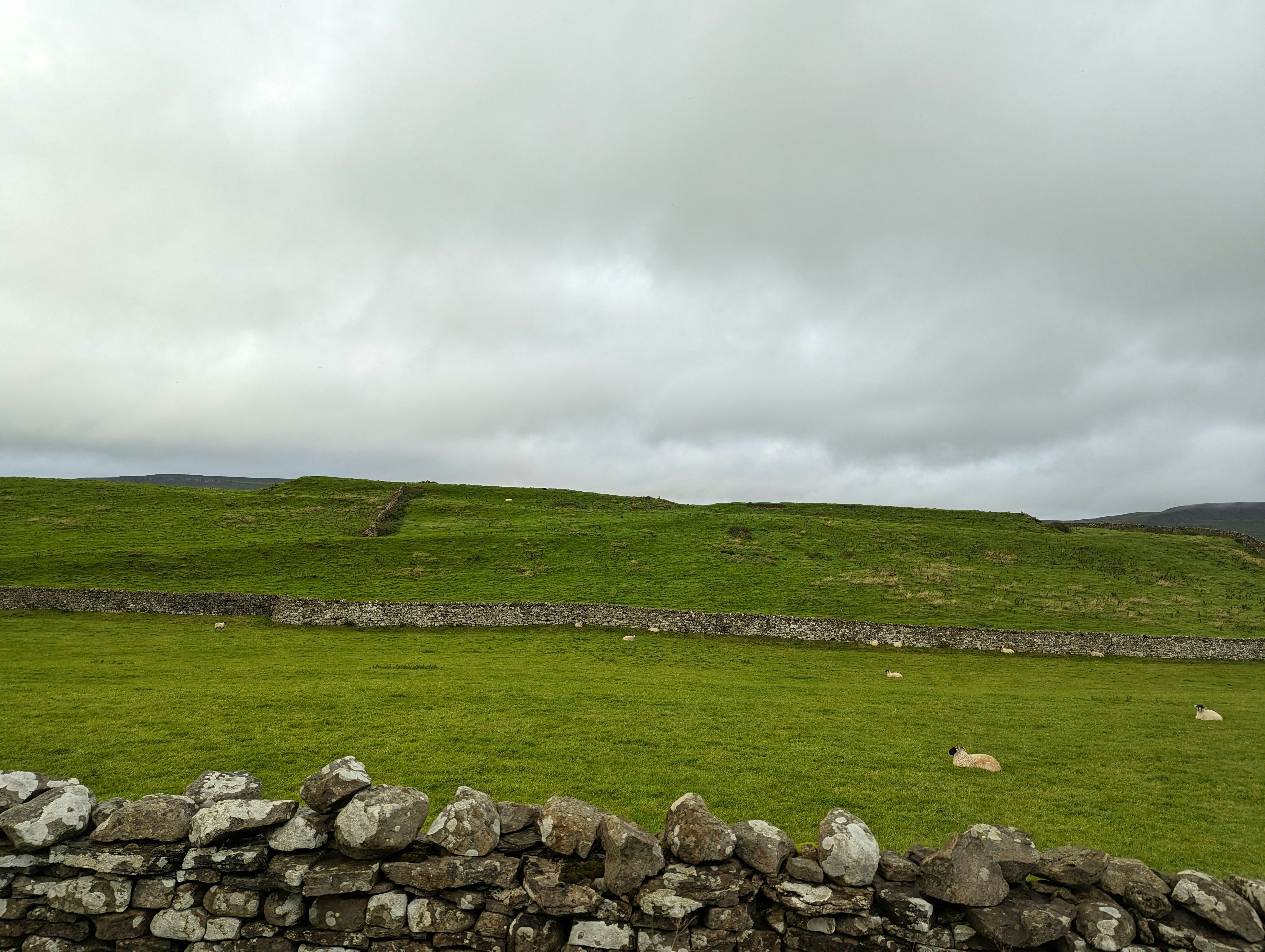 Photo by prathibhakm