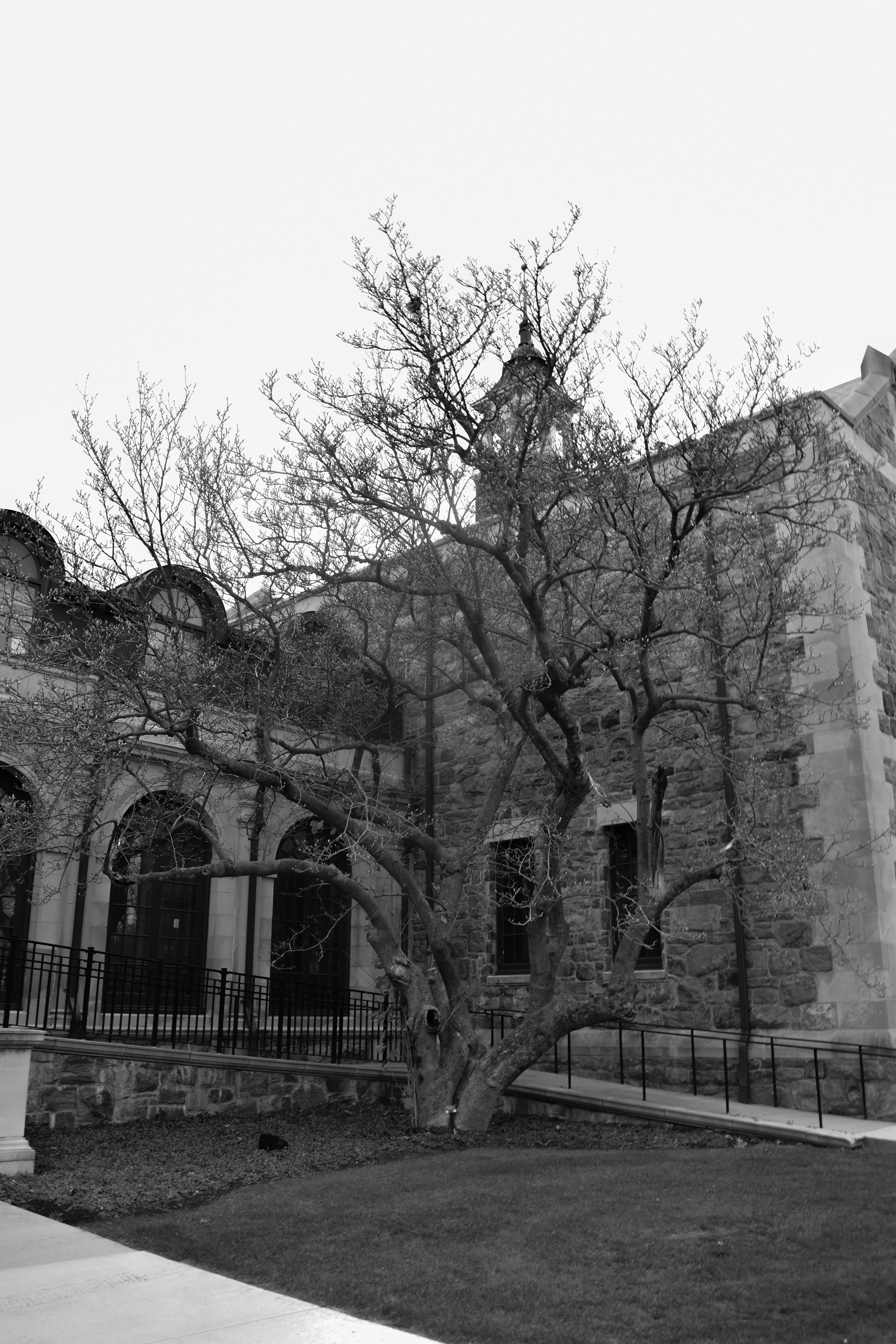 Photo by oliviahouck88